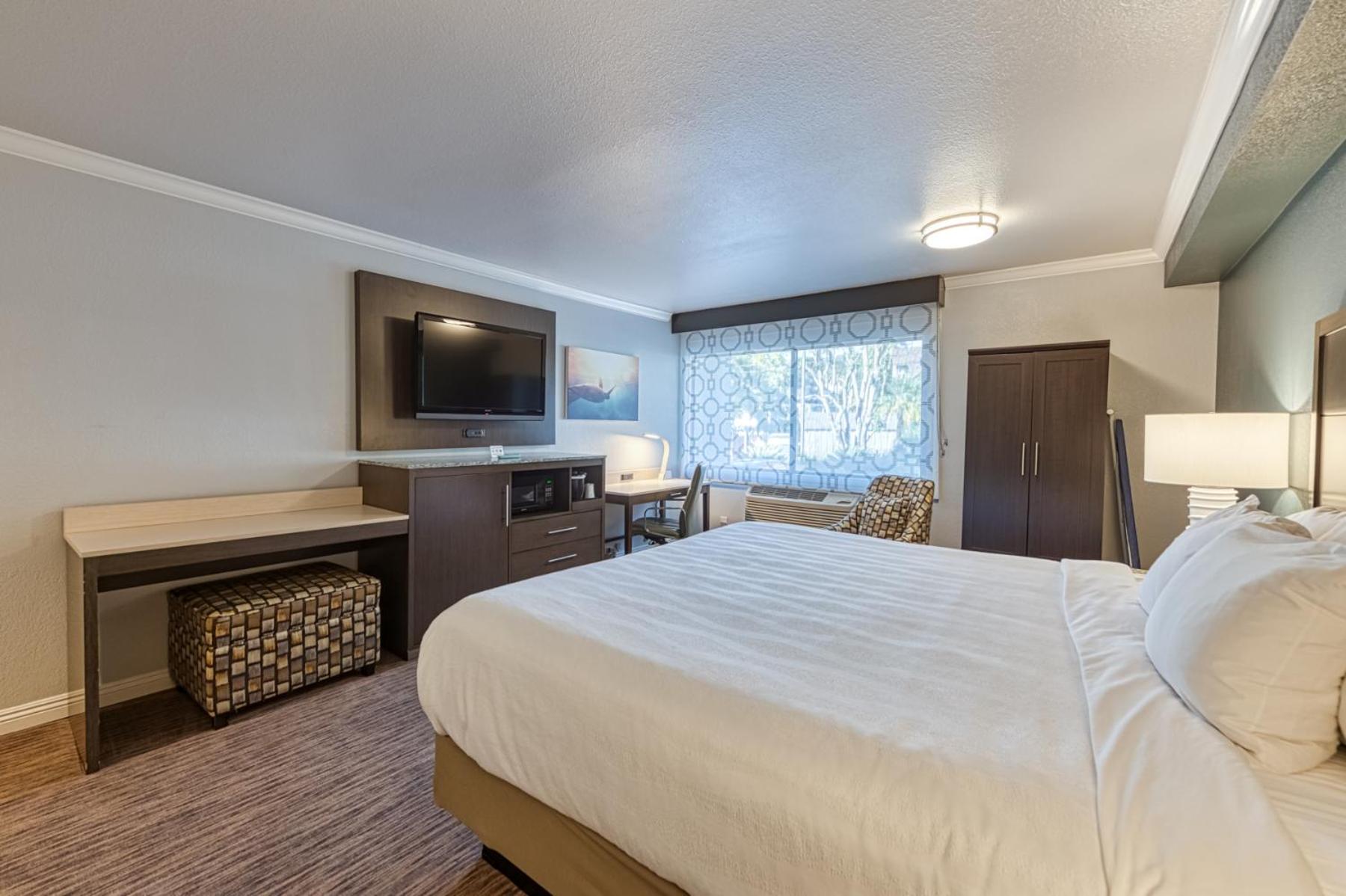 King Room with Roll-In Shower - Accessible/Non Smoking - Photo 7