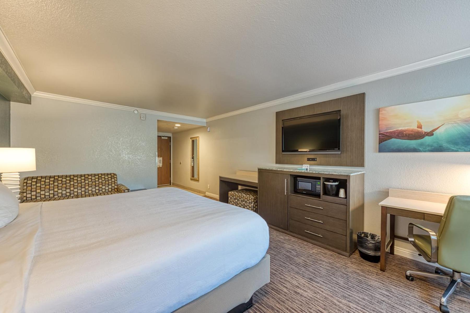 King Room with Roll-In Shower - Accessible/Non Smoking - Photo 8