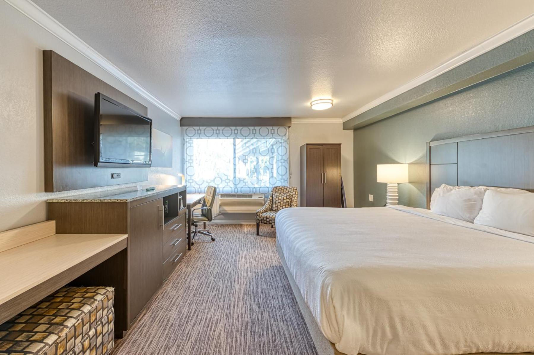 King Room with Roll-In Shower - Accessible/Non Smoking - Photo 1