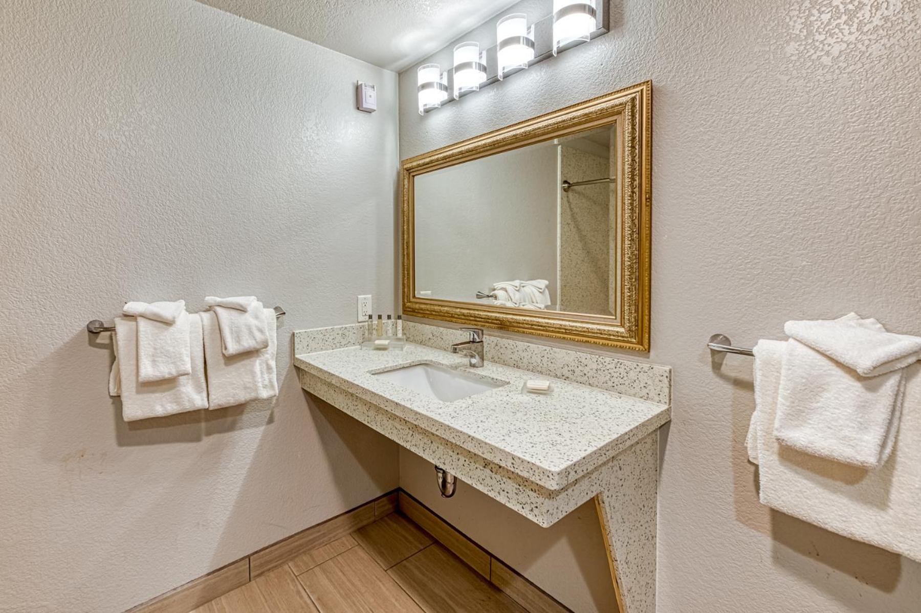 King Room with Roll-In Shower - Accessible/Non Smoking - Photo 2