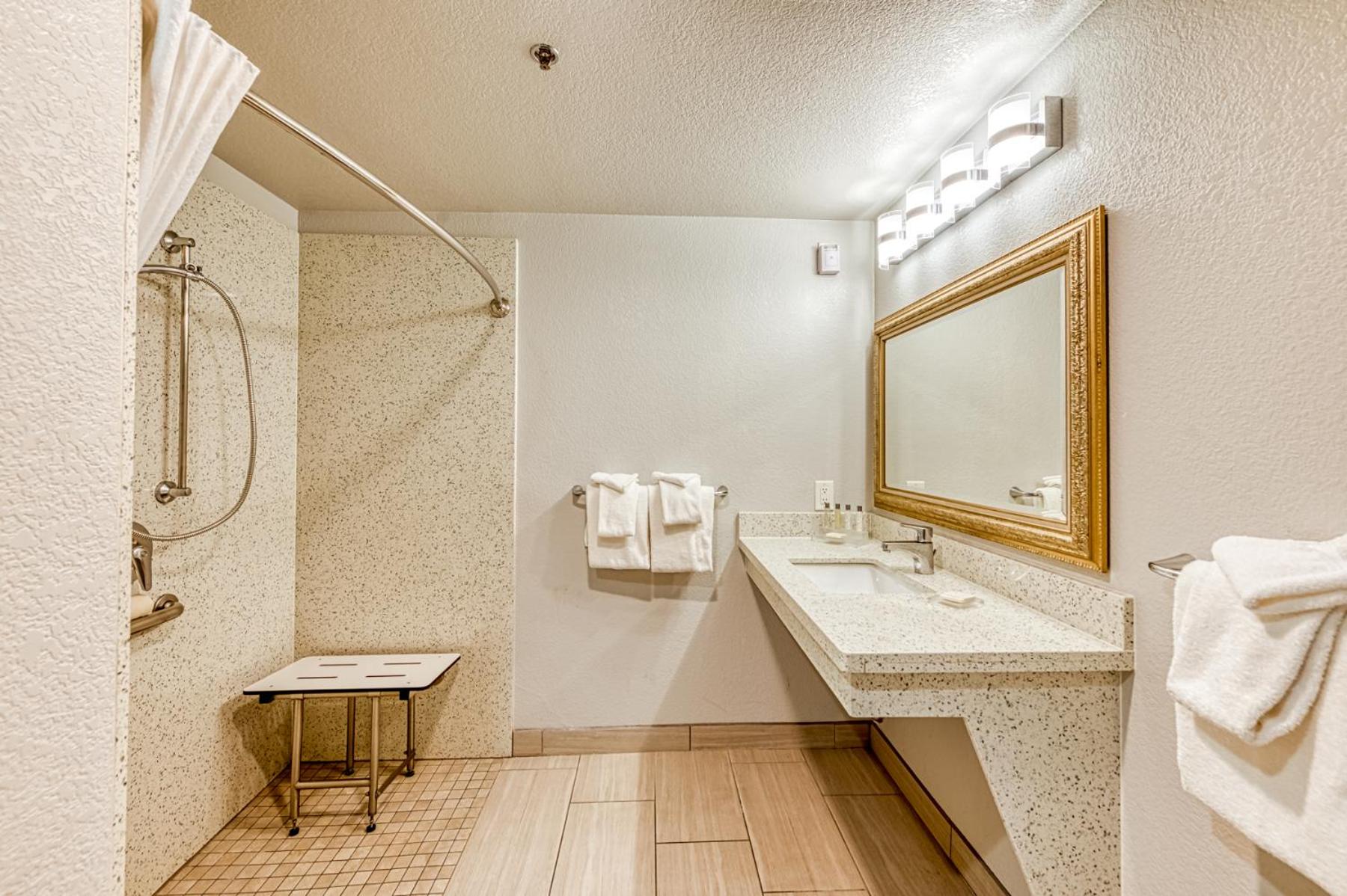 King Room with Roll-In Shower - Accessible/Non Smoking - Photo 6