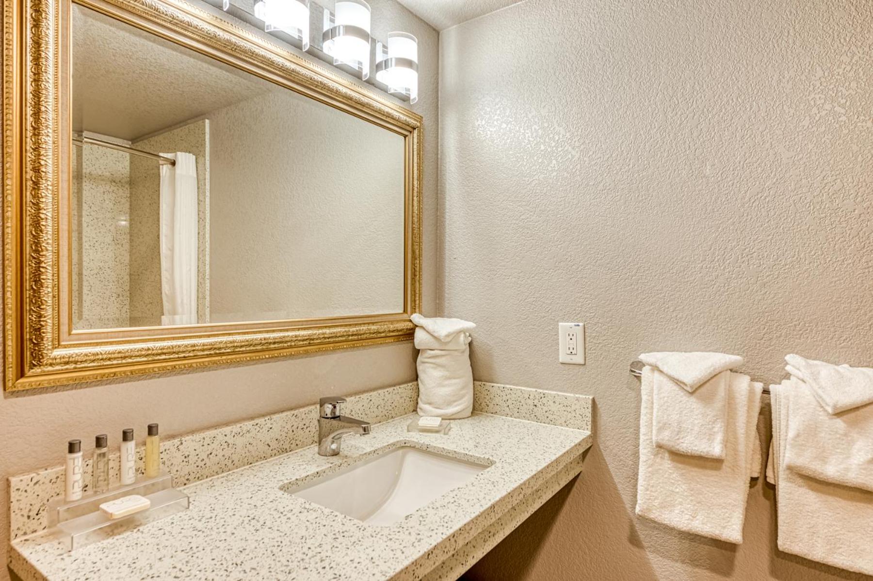 King Room with Accessible Tub - Accessible/Non Smoking - Photo 7