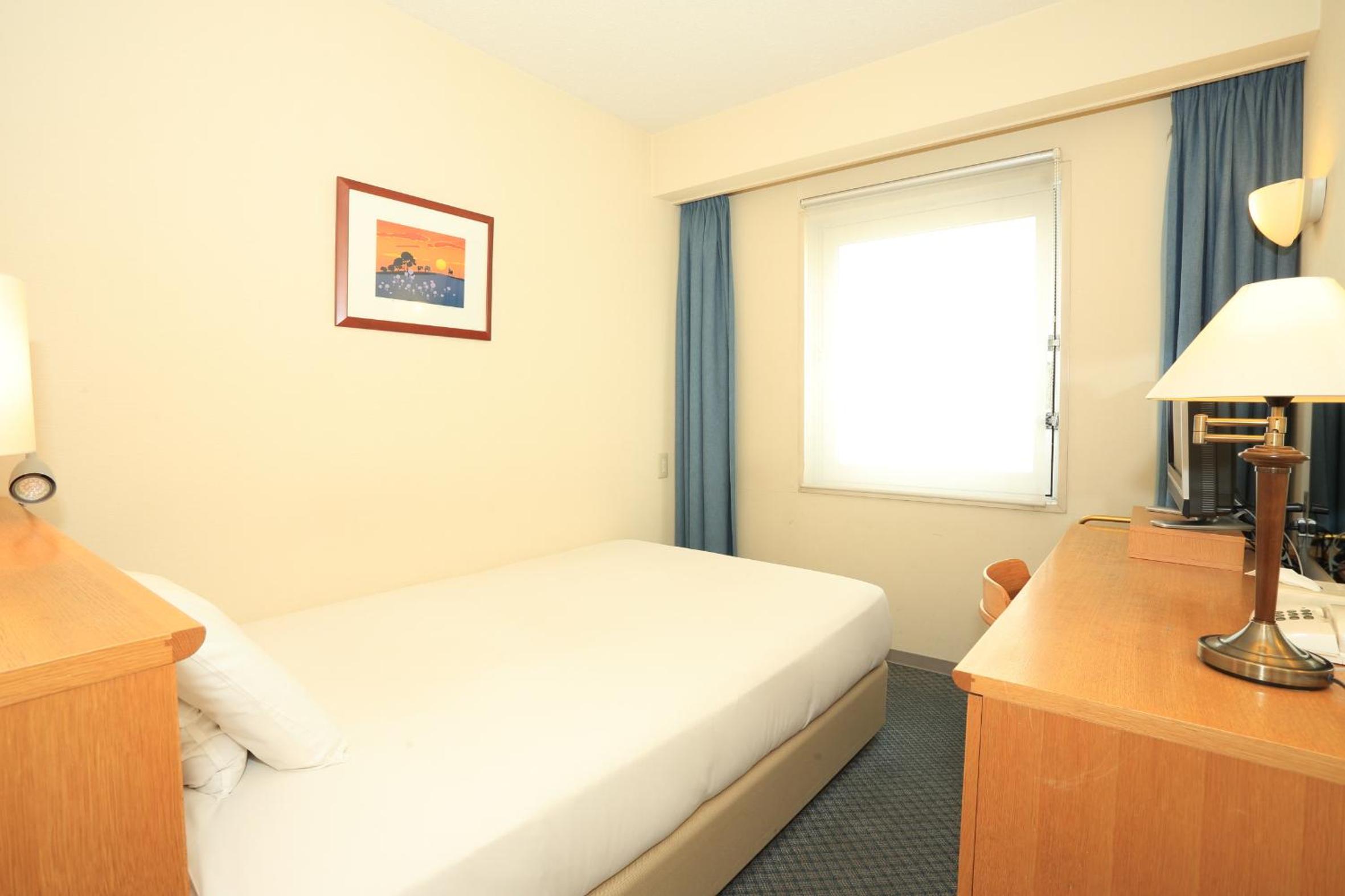 Single Room - Smoking photo 3