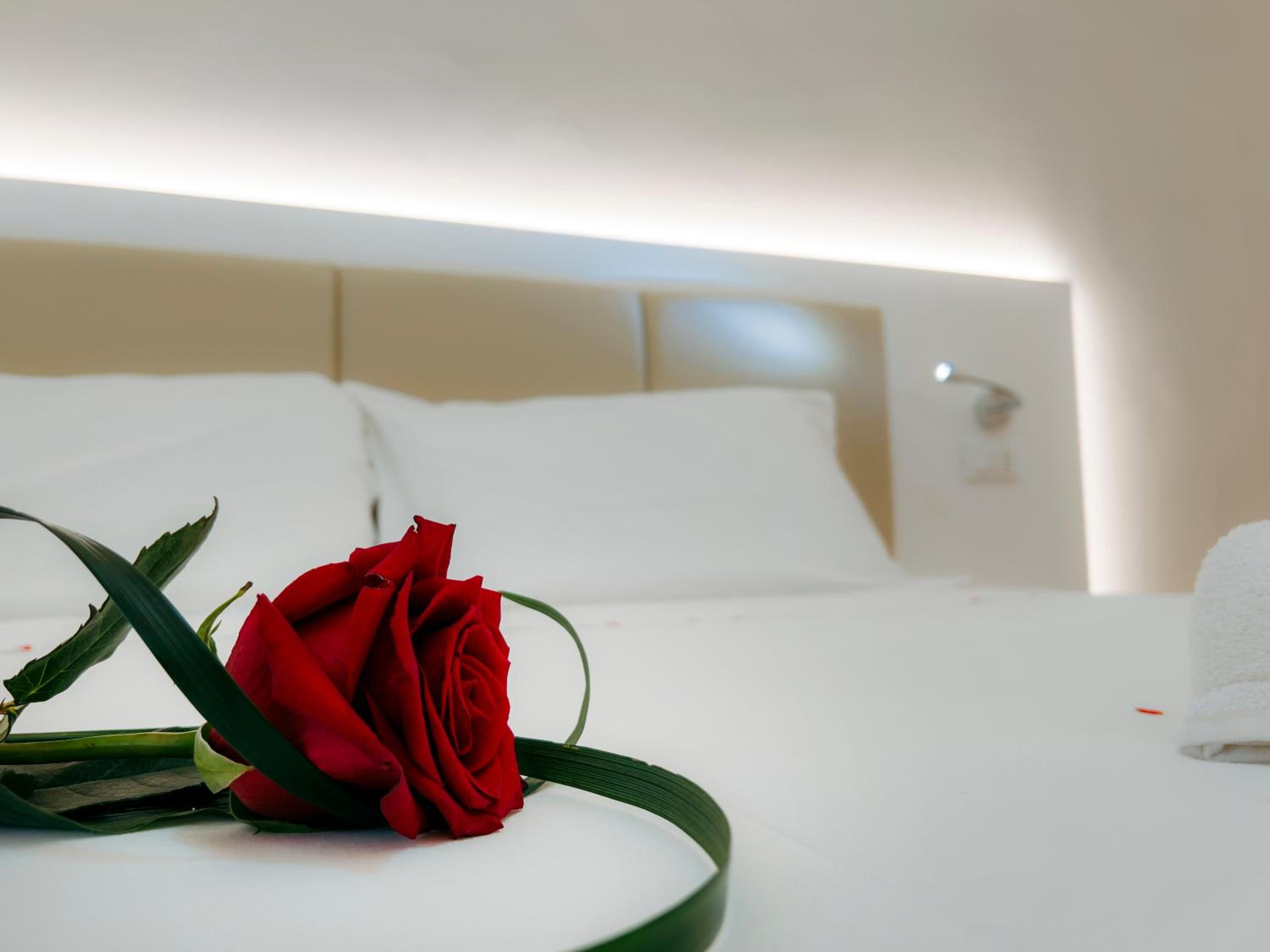 Double or Twin Room - Photo 5