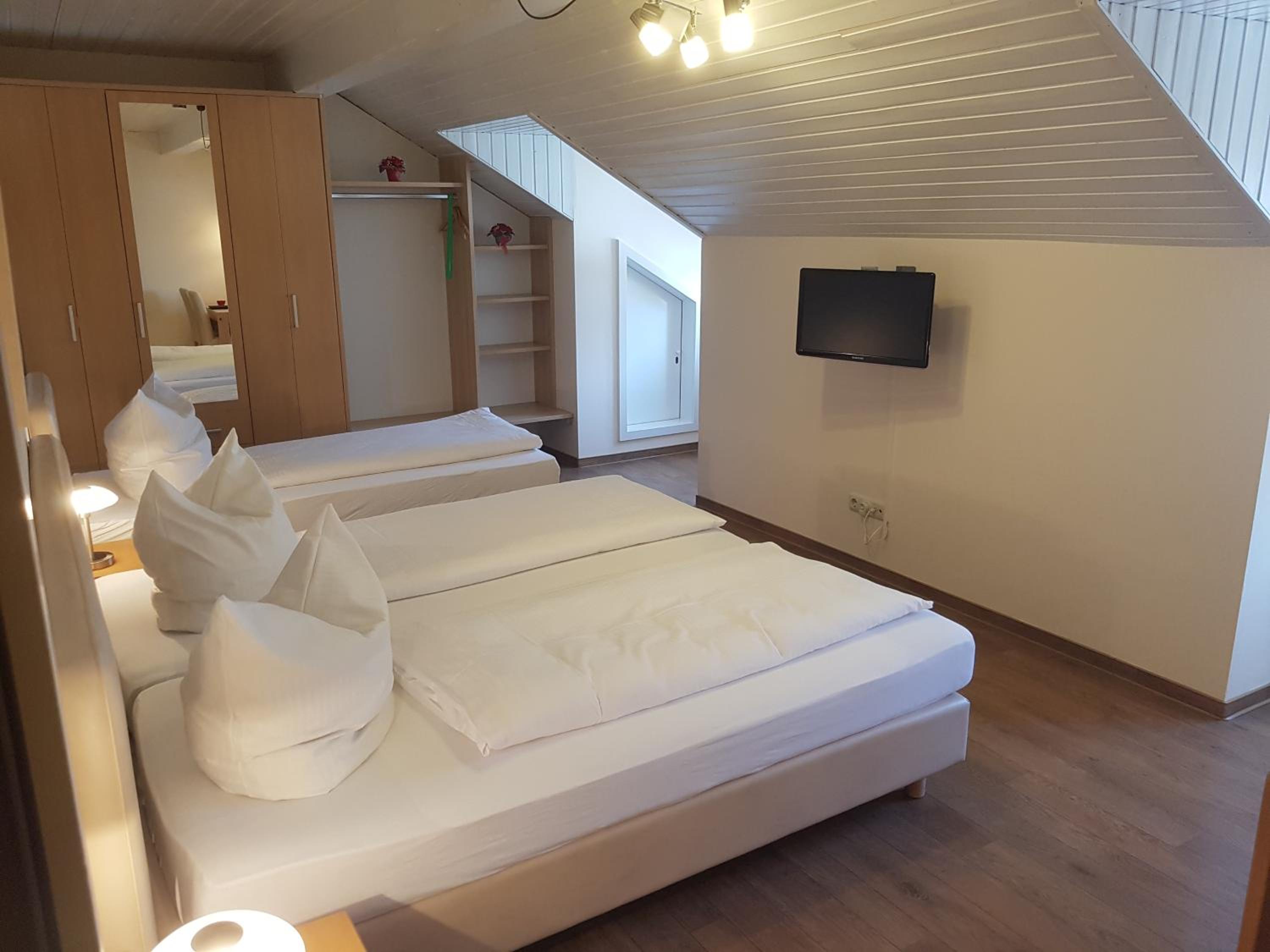 Triple Room with Mountain View photo 3