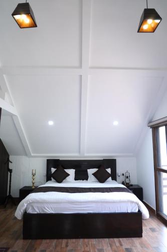 Suite photo 1