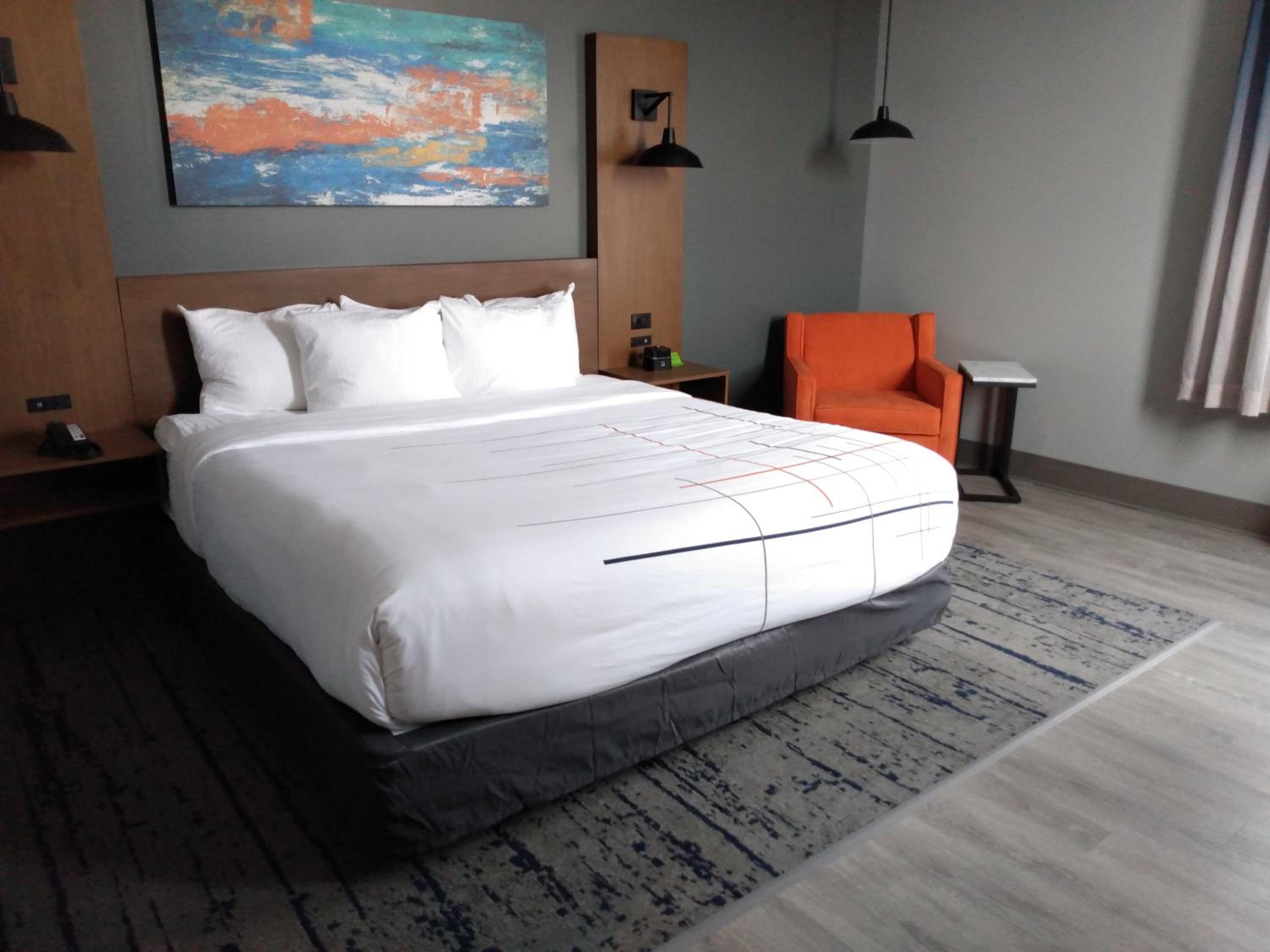 1 King Bed, Mobility Accessible Studio Suite, Roll-In Shower, Non-Smoking - Photo 1