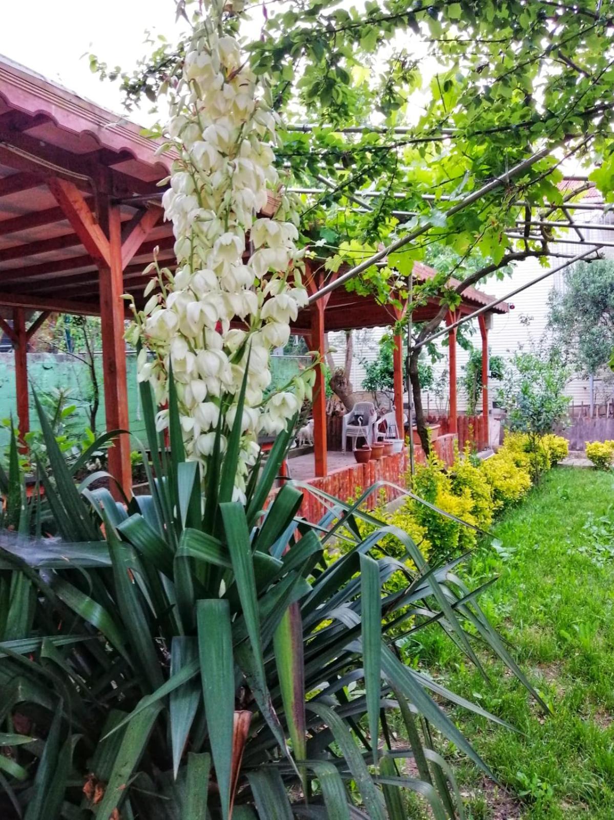 Double Room with Garden View photo 2