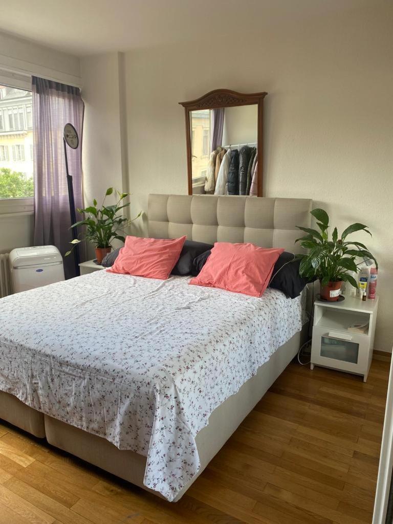One-Bedroom Apartment photo 3
