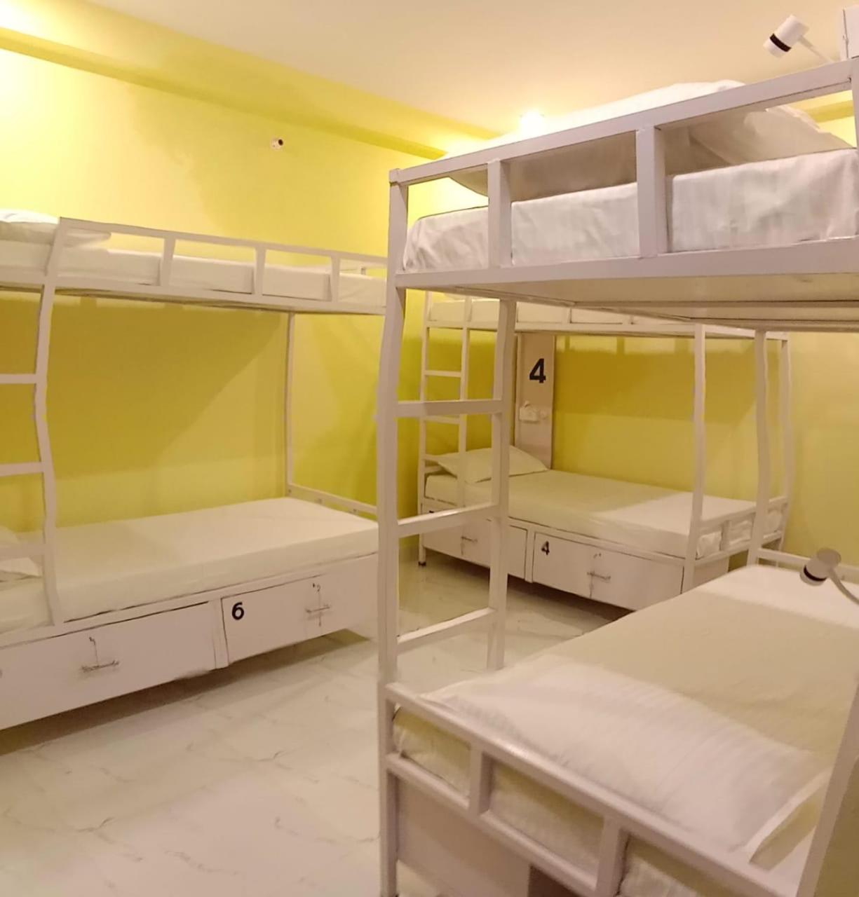 Bed in 6-Bed Mixed Dormitory Room photo 1