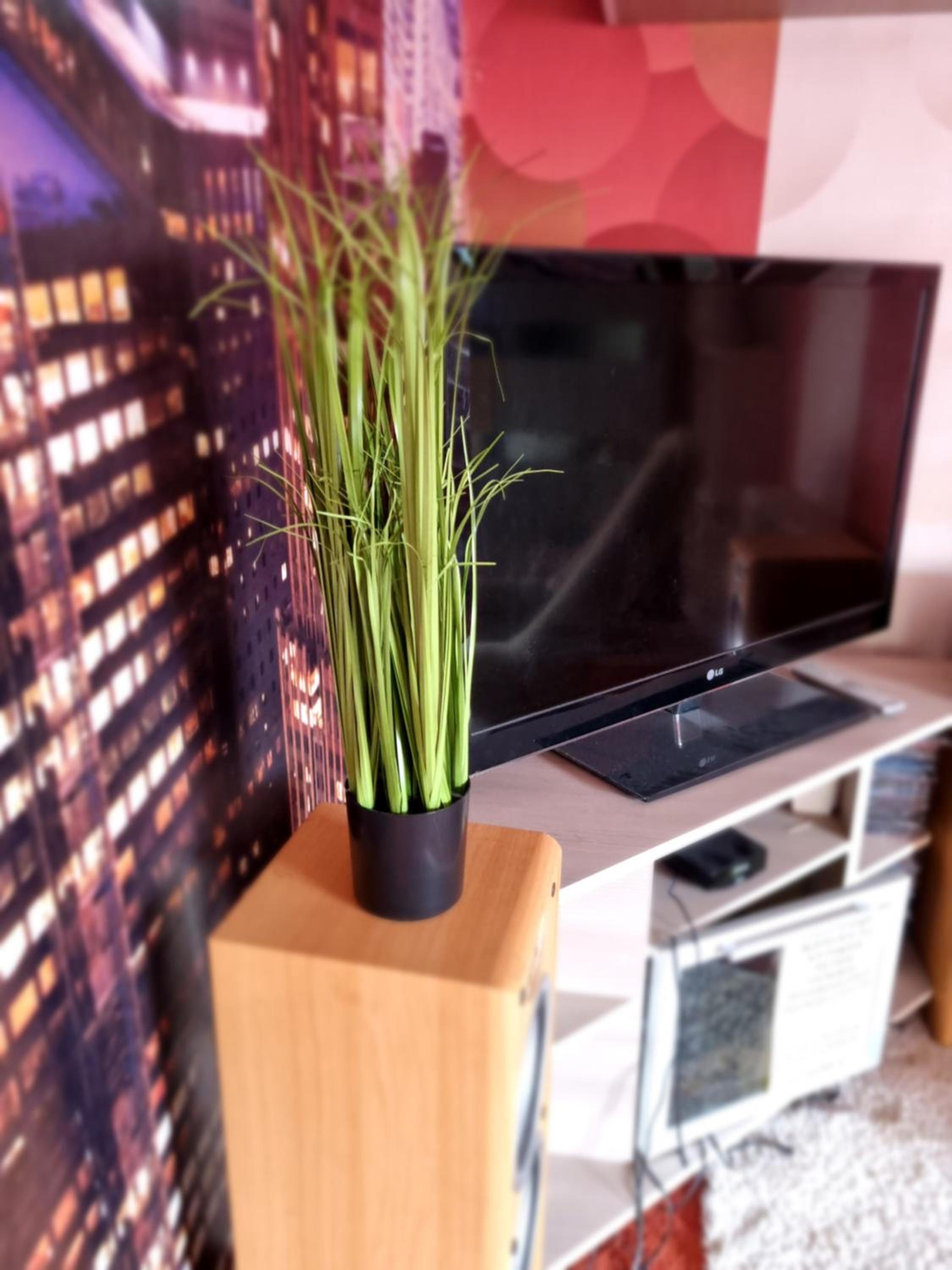 Standard Villa - Photo 77