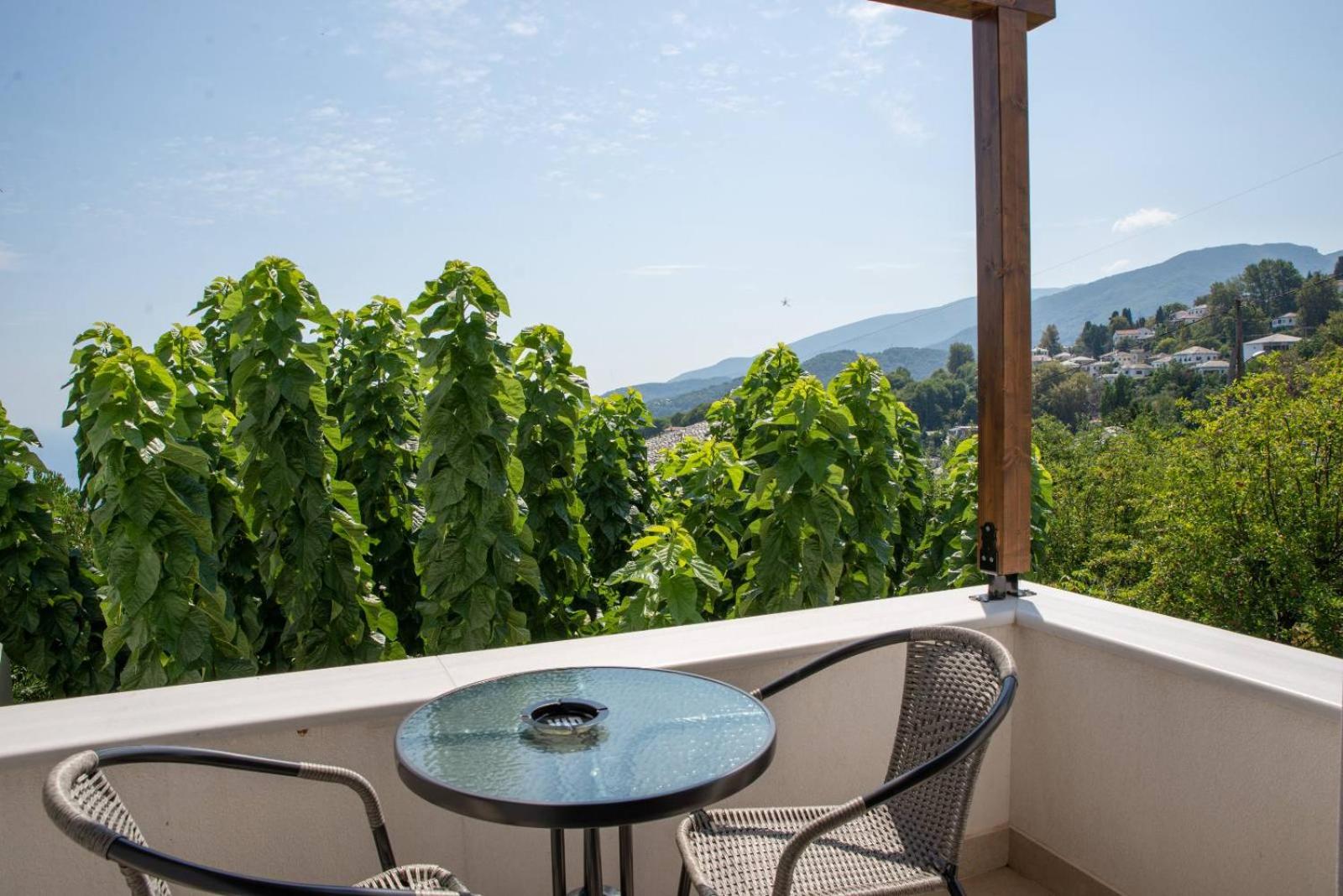 Deluxe Double Room with Balcony photo 3