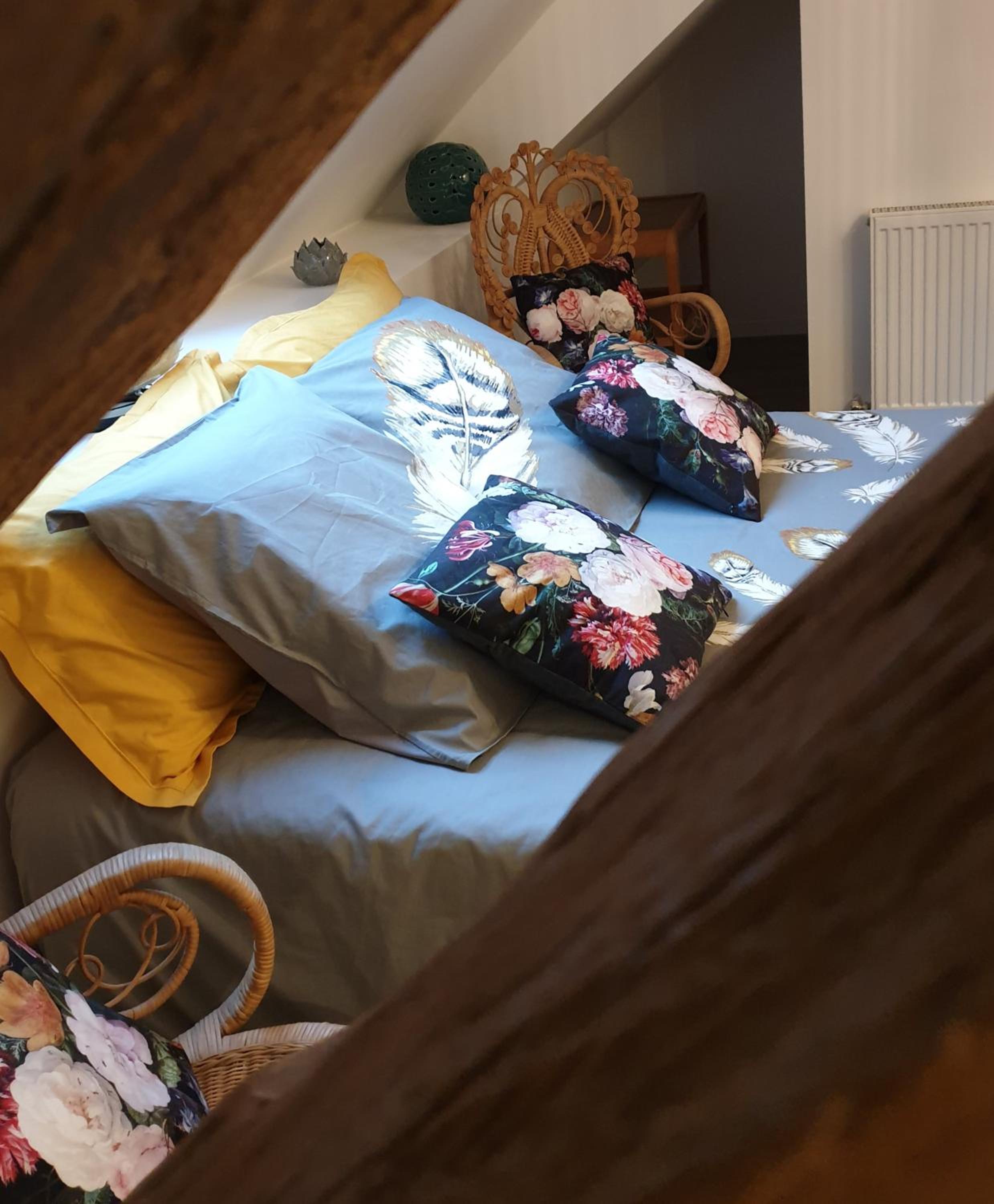 Suite - Photo 4