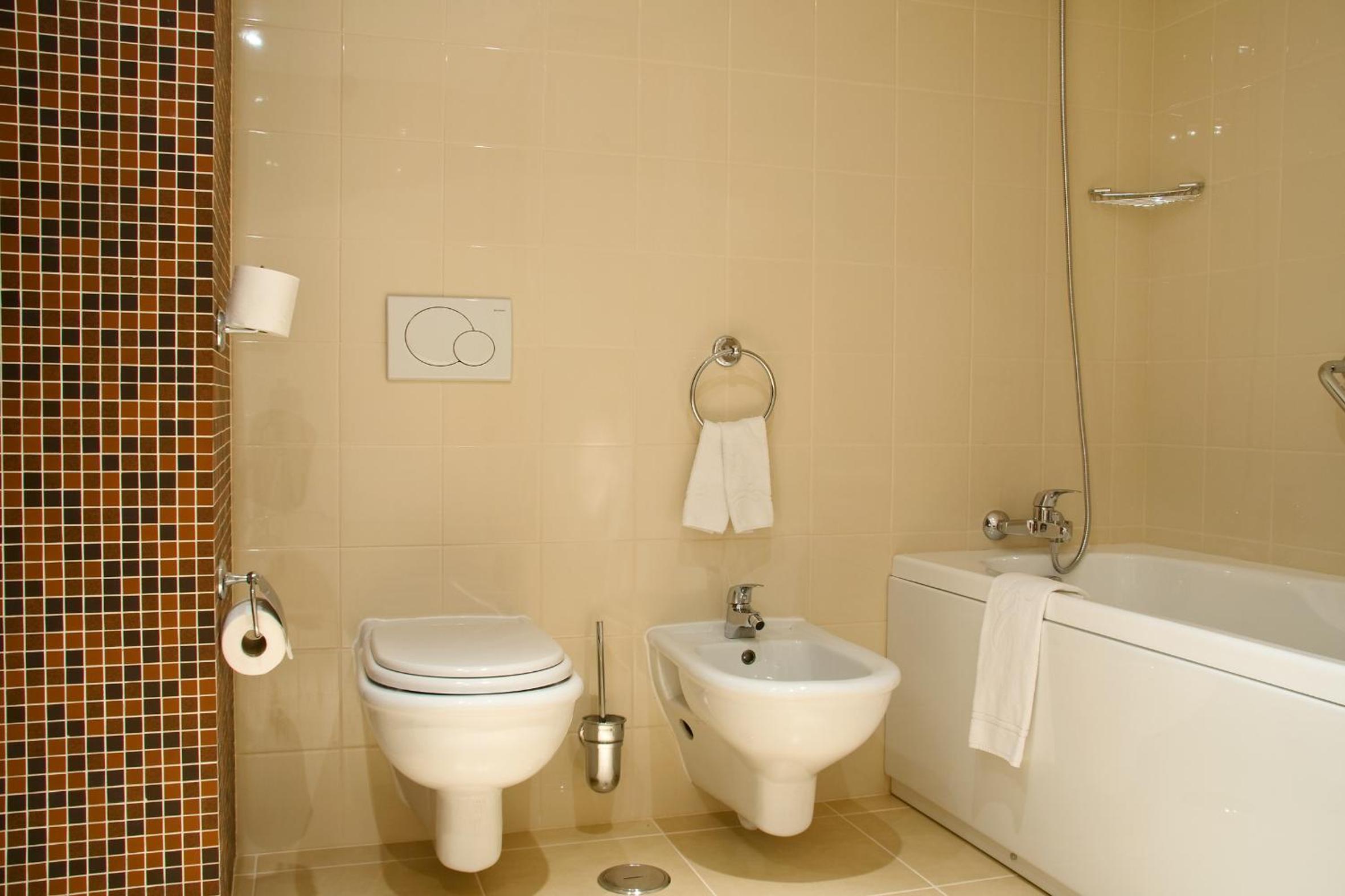 Standard One-Bedroom Apartment photo 2