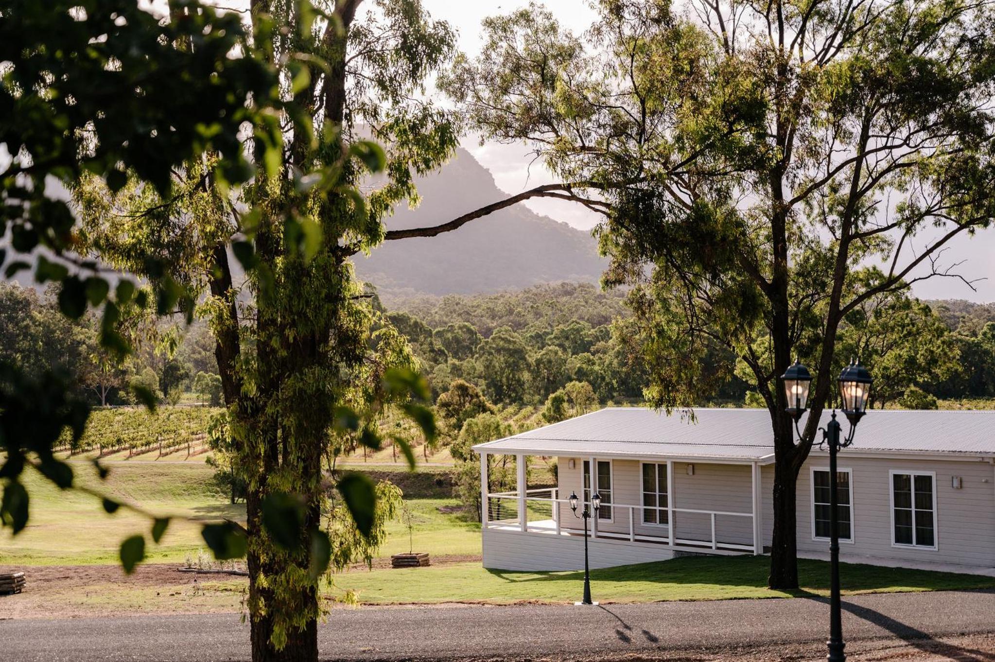 Studio with Mountain View - Photo 6