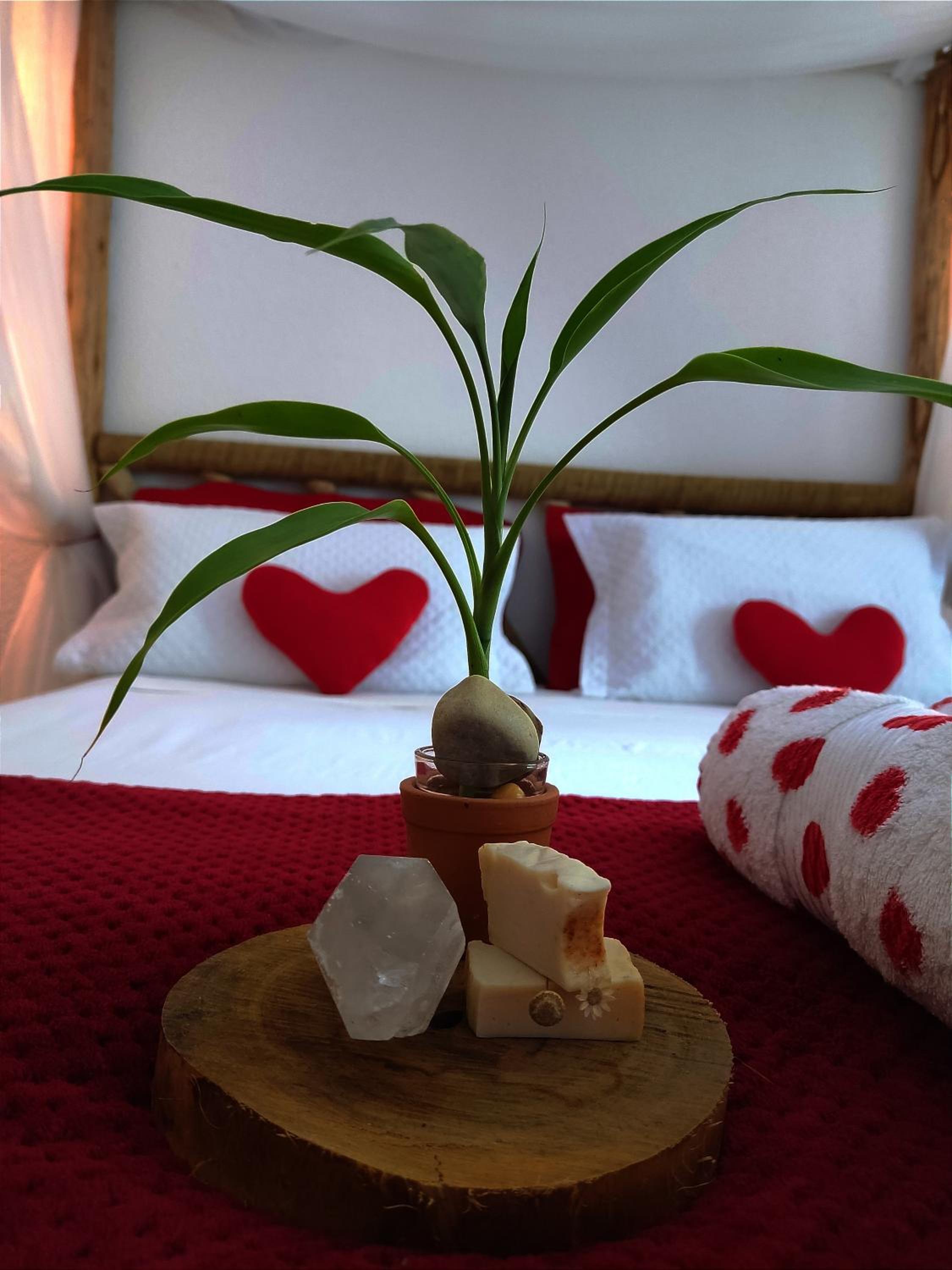 Deluxe King Suite - Photo 3