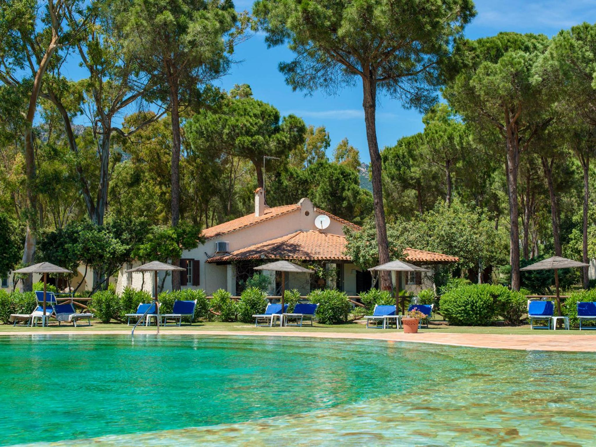 Standard Villa photo 3