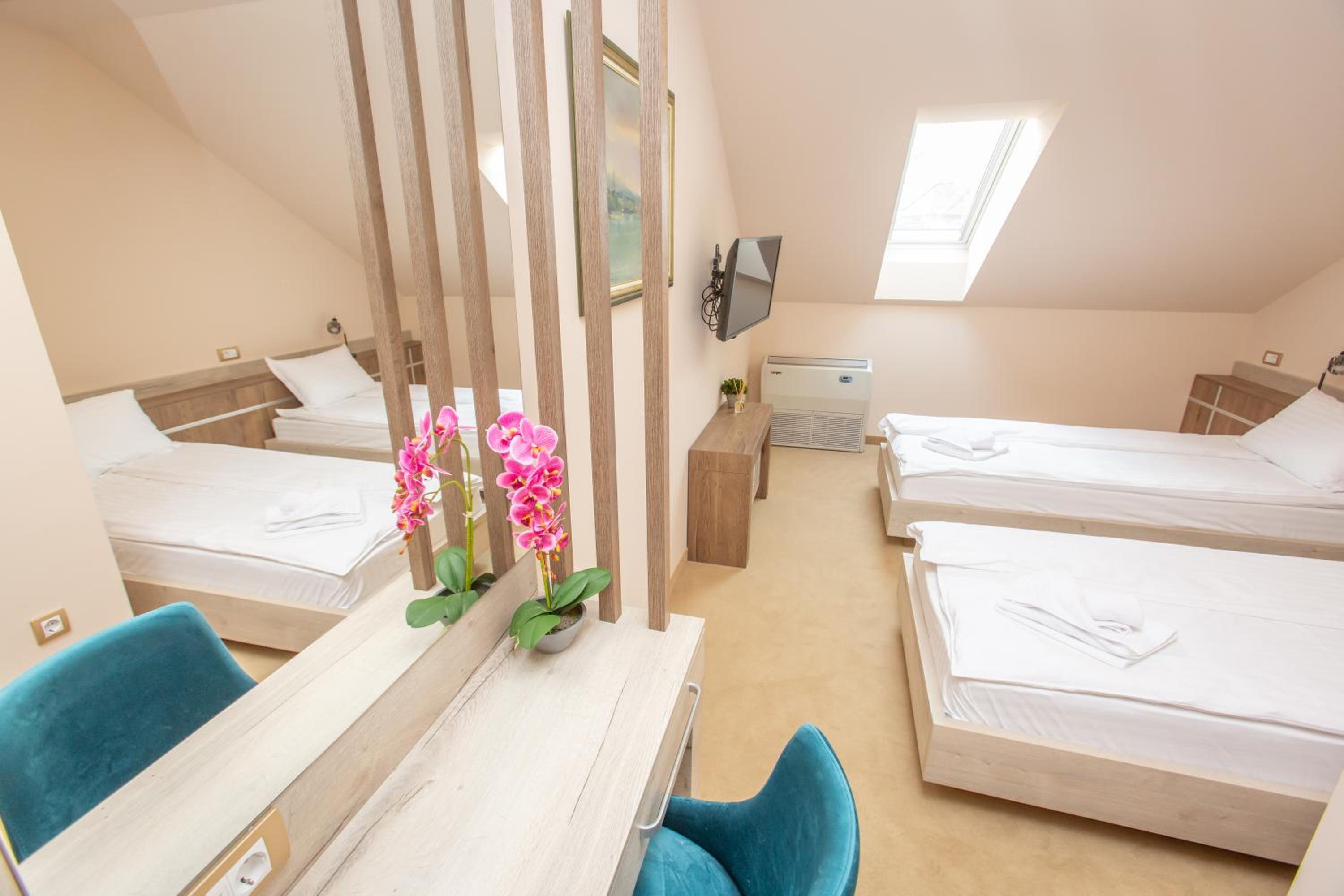 Double or Twin Room