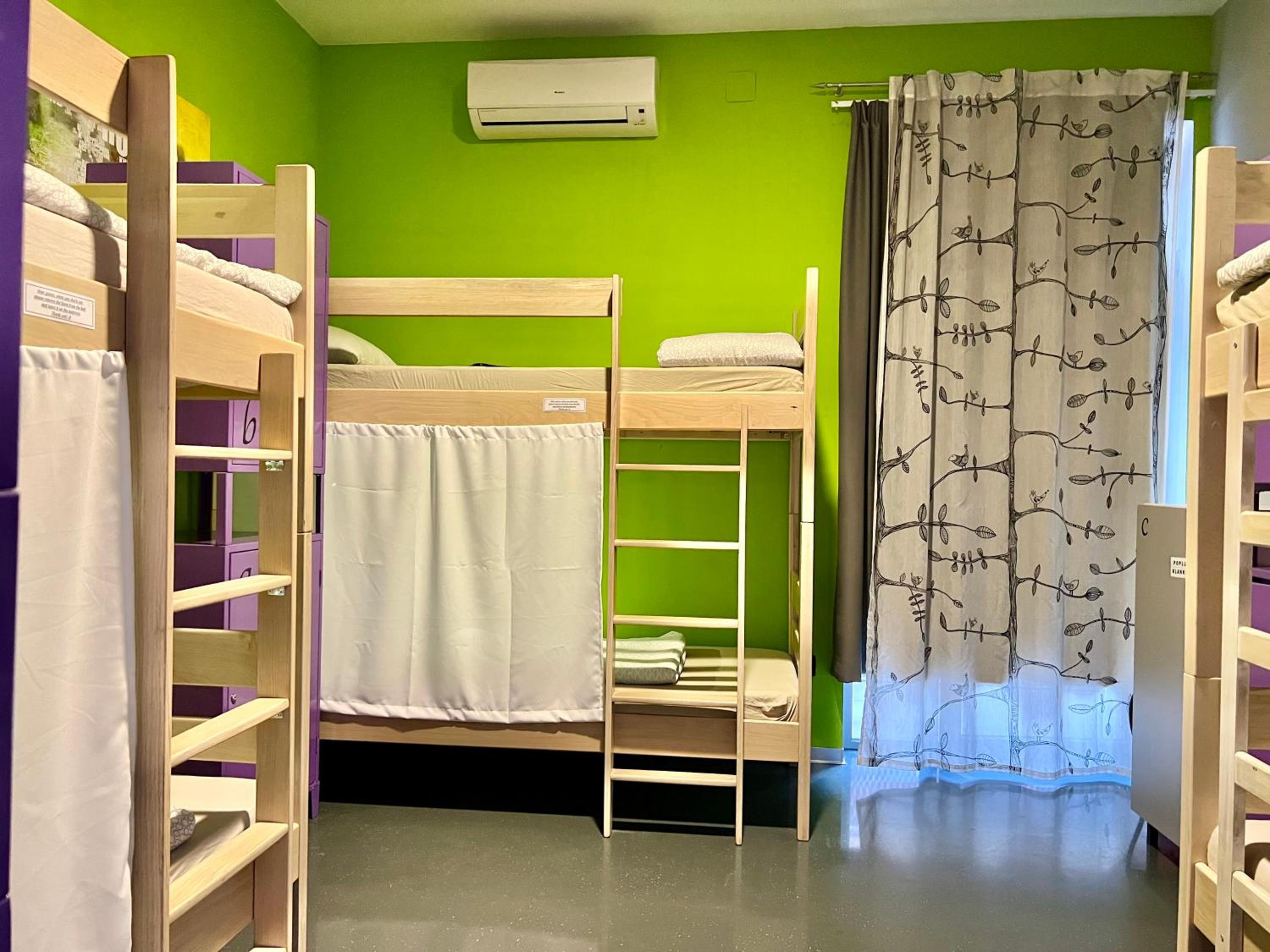 Bed in 6-Bed Mixed Dormitory Room