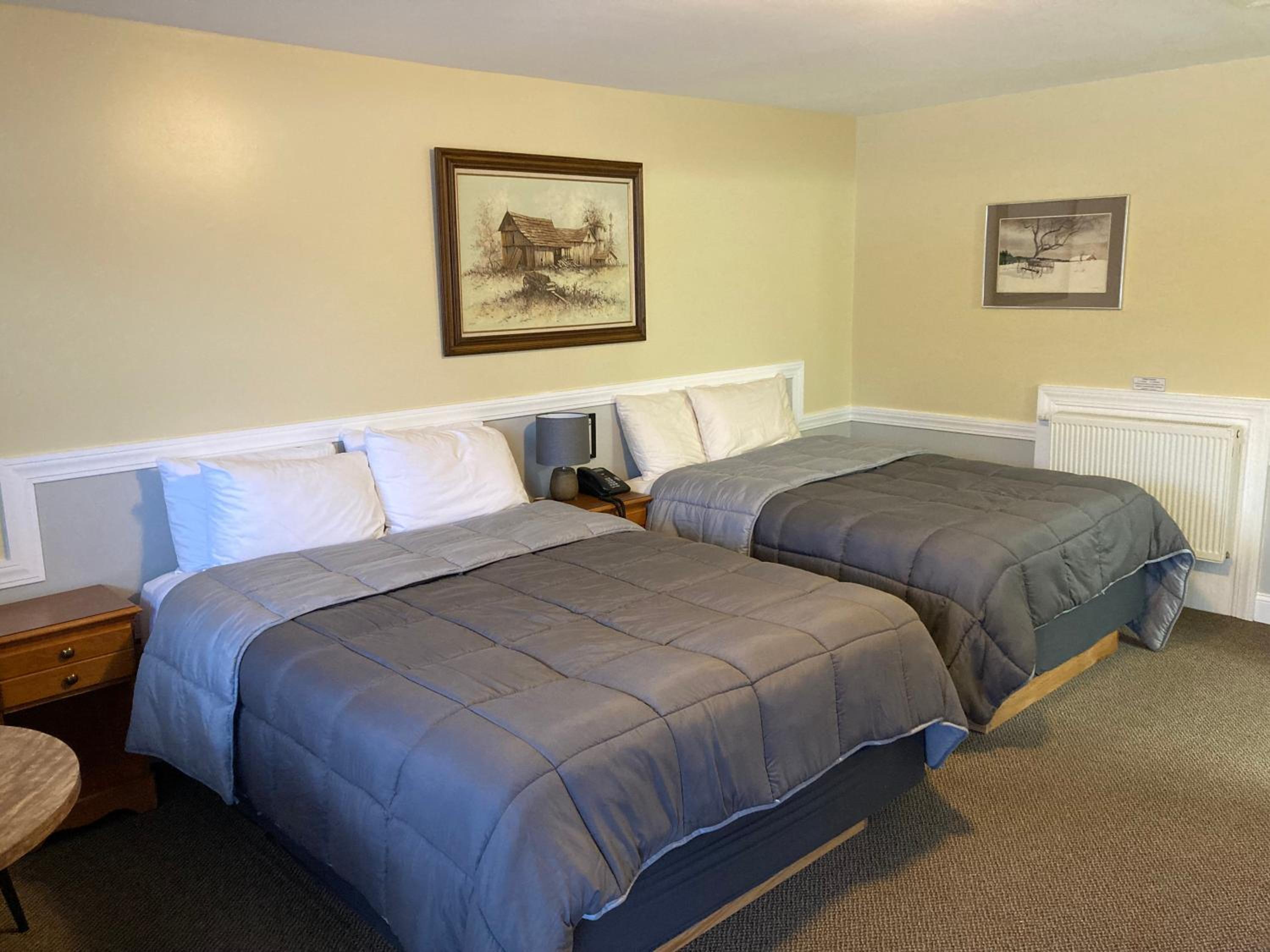 Queen Room - No Pets Allowed photo 3