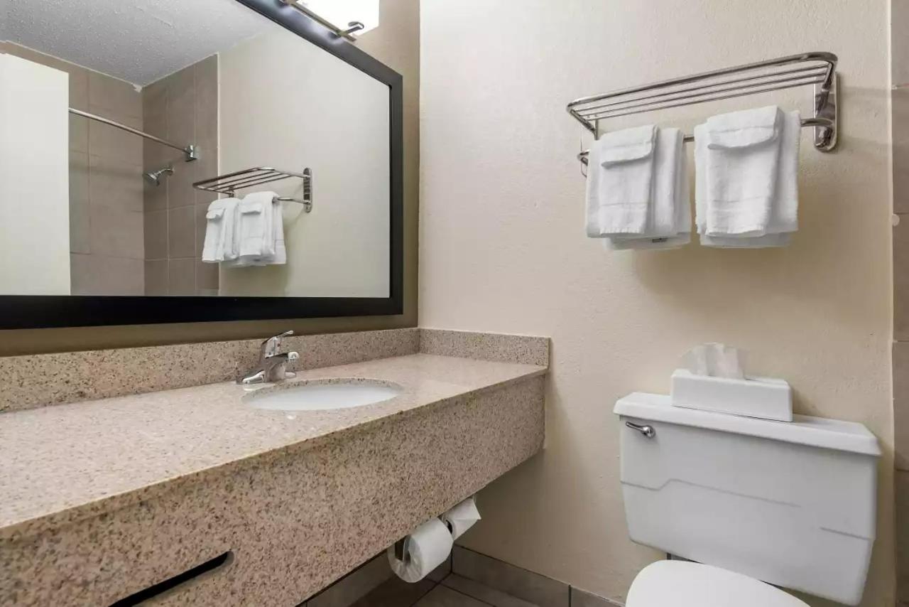 Double Room with Roll-In Shower - Accessible/Non-Smoking photo 3