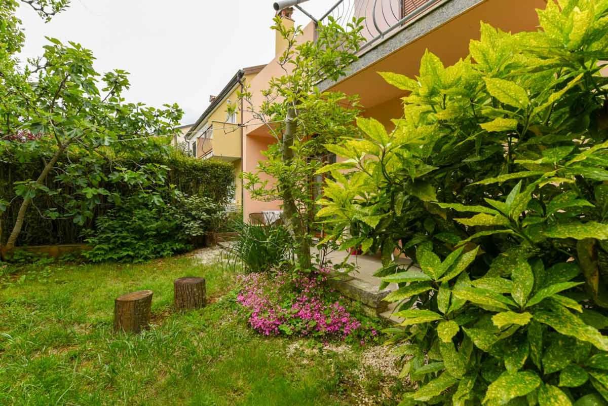 Apartment - Ground Floor - Photo 4