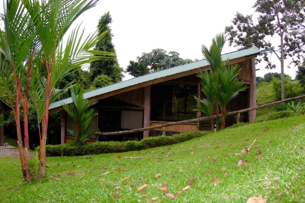Twin Room with Garden View photo 1