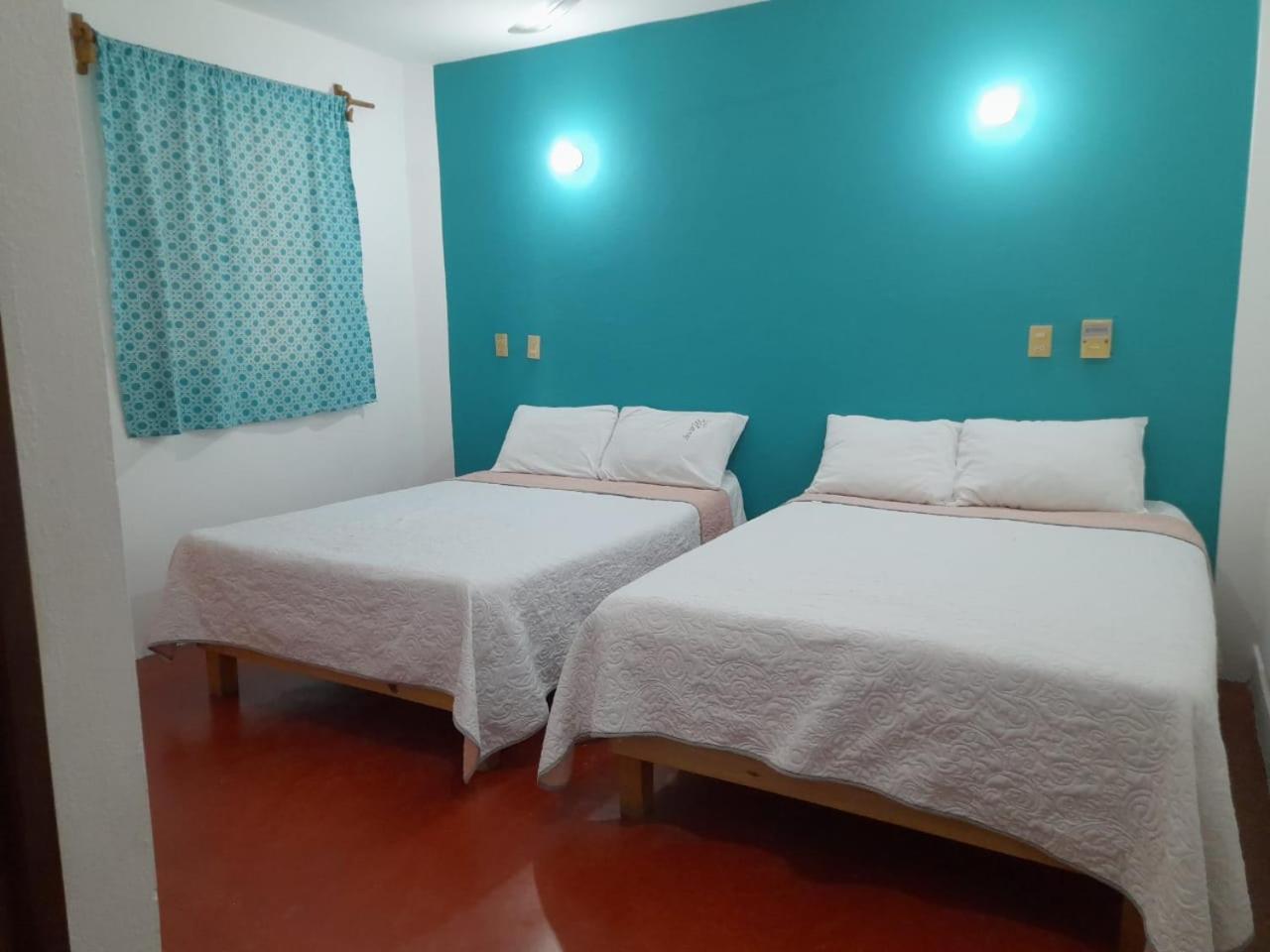 Twin Room photo 1