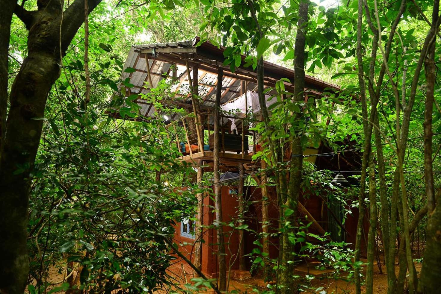  Cozy Tree House photo 3