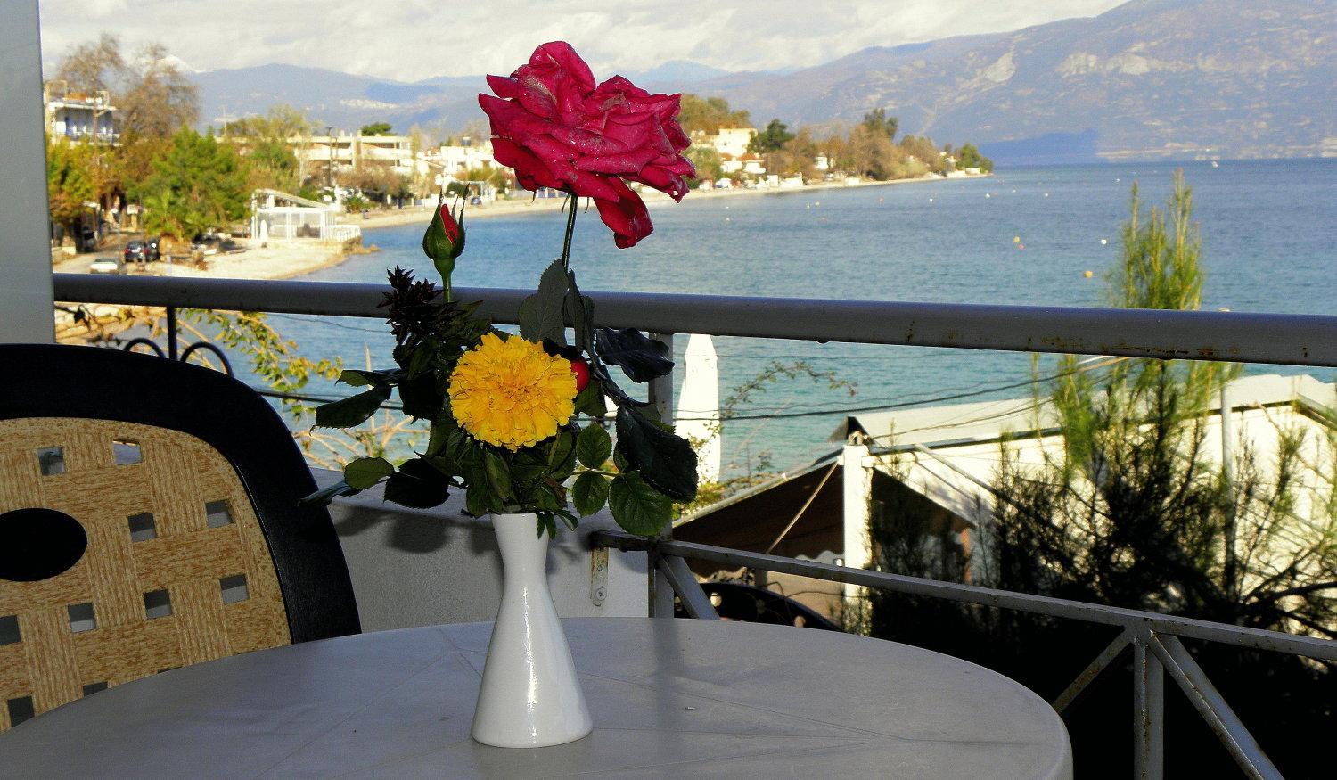 Double Room With Sea View photo 3