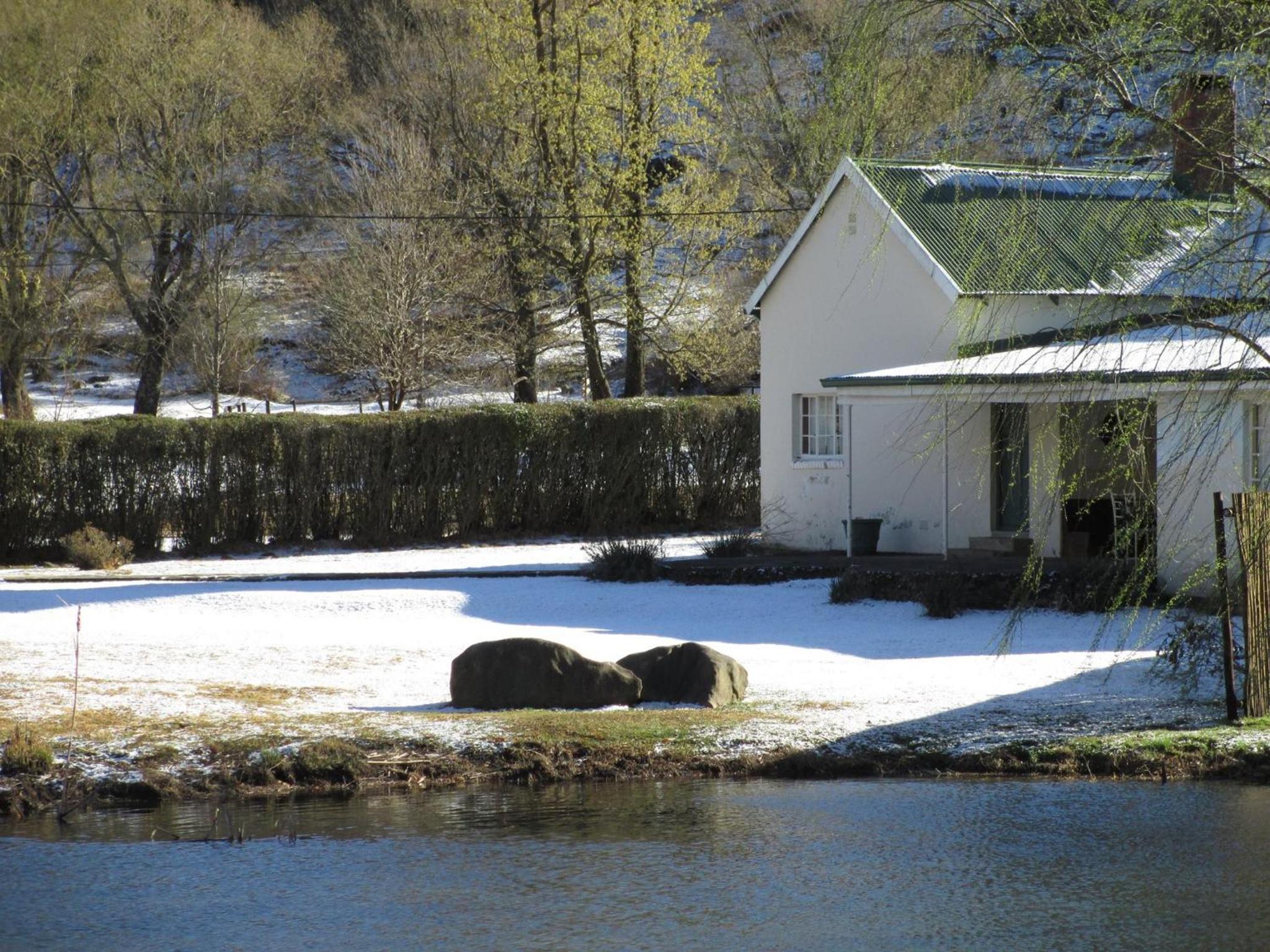 Vacation Home photo 3