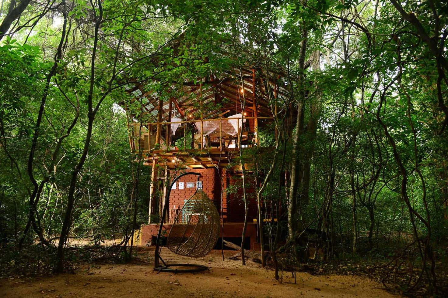 Quadruple Tree House photo 2