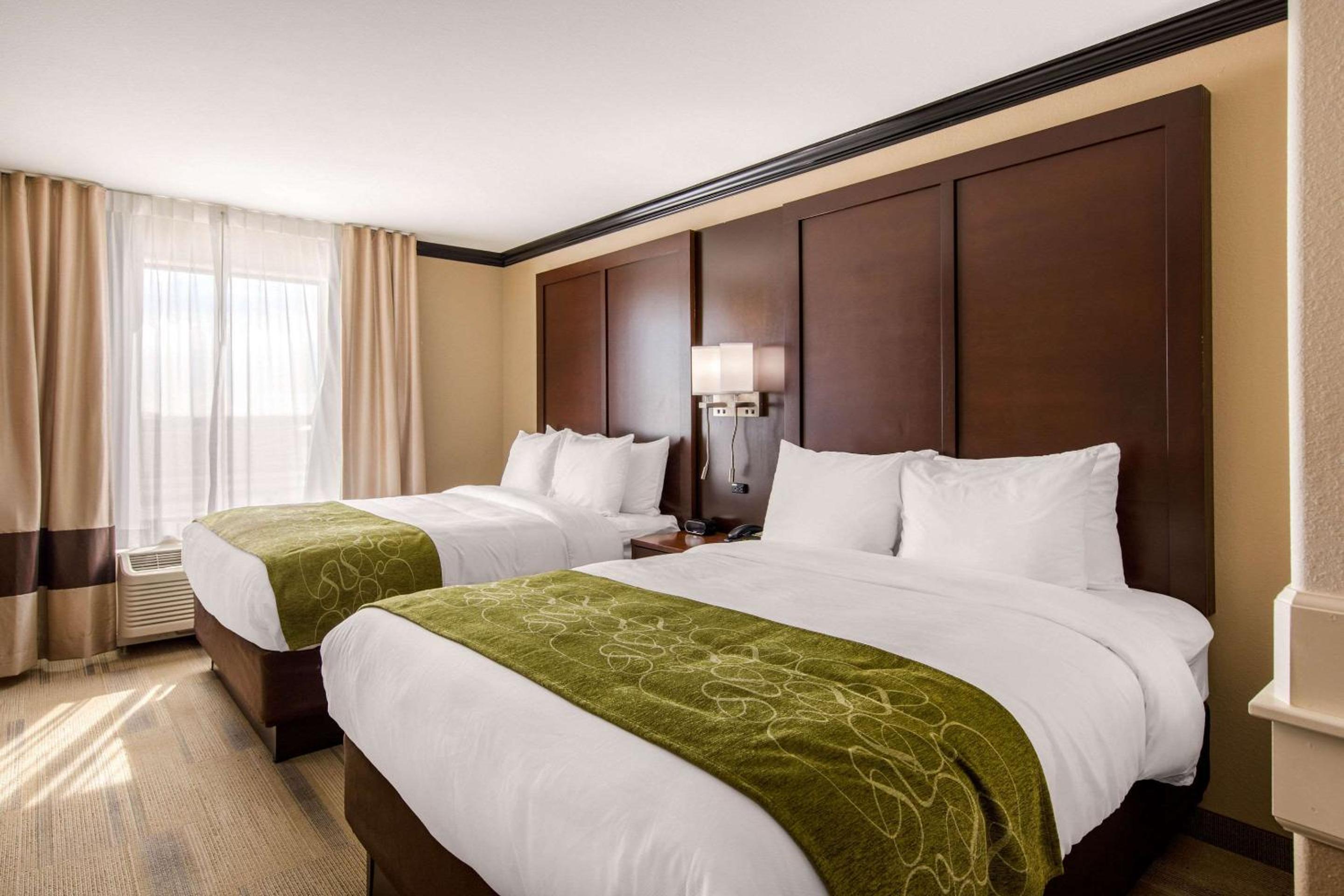 Queen Suite with Two Queen Beds and Sofa Bed - Non-Smoking photo 2