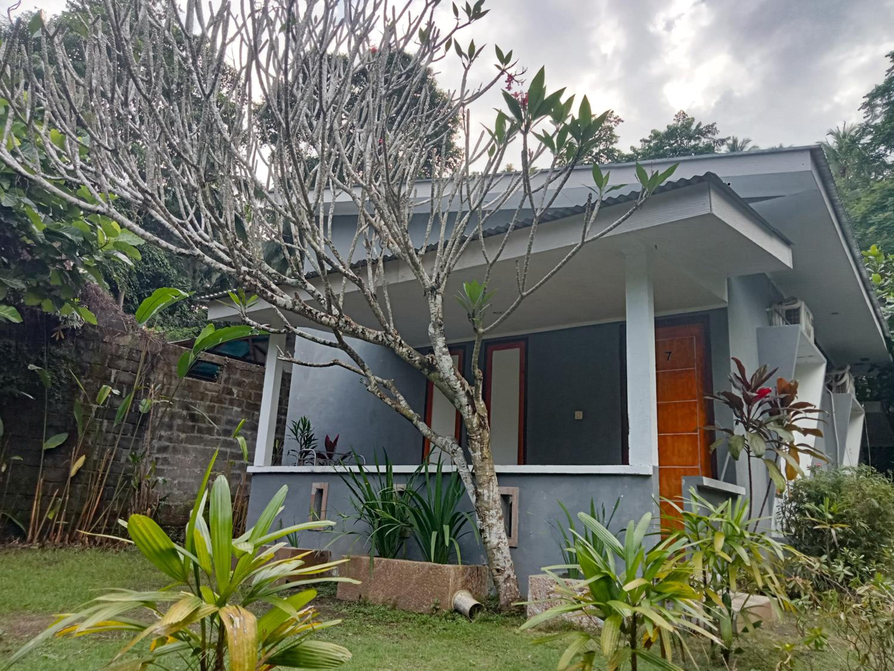 Double Room with Terrace - Photo 9
