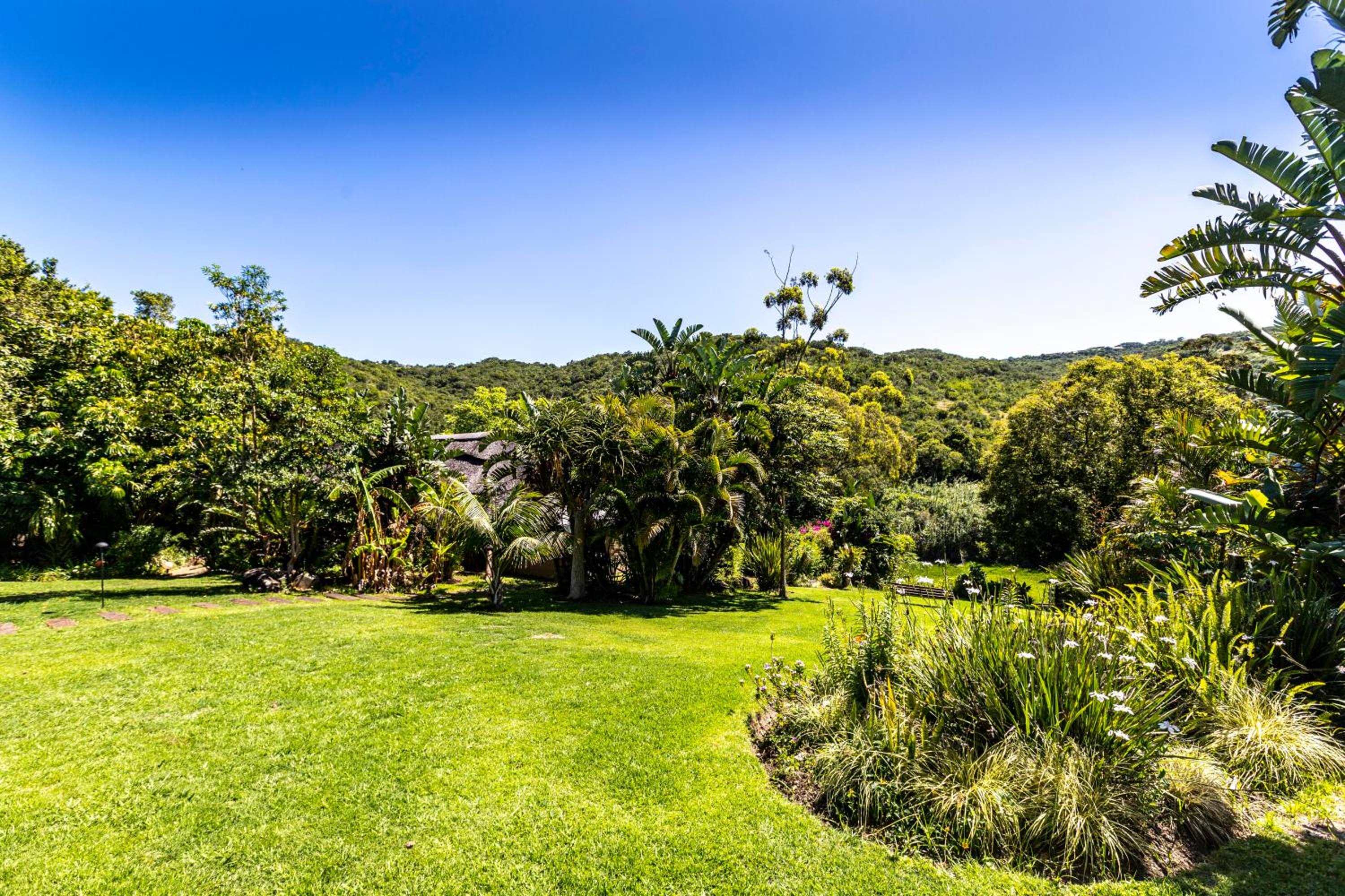 King Room with Garden View photo 2