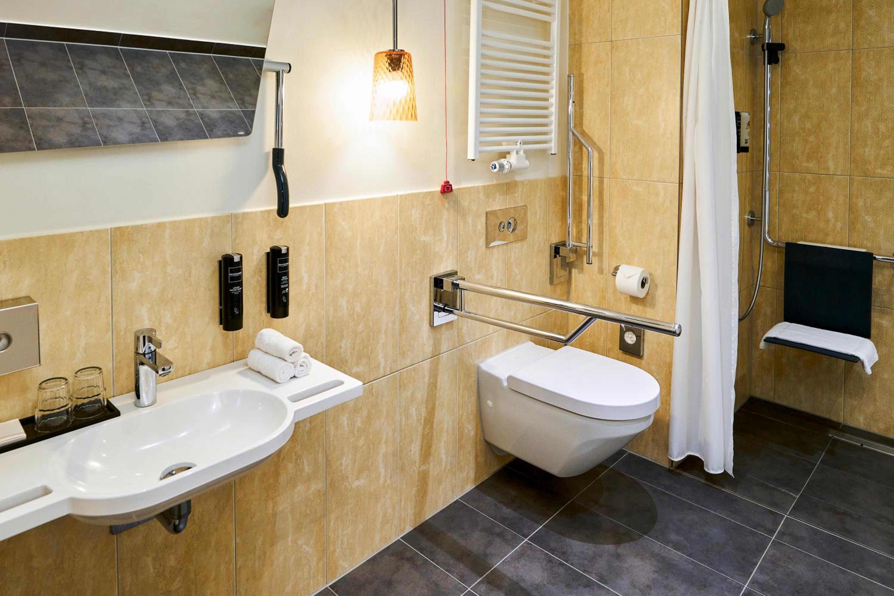 King Accessible Room