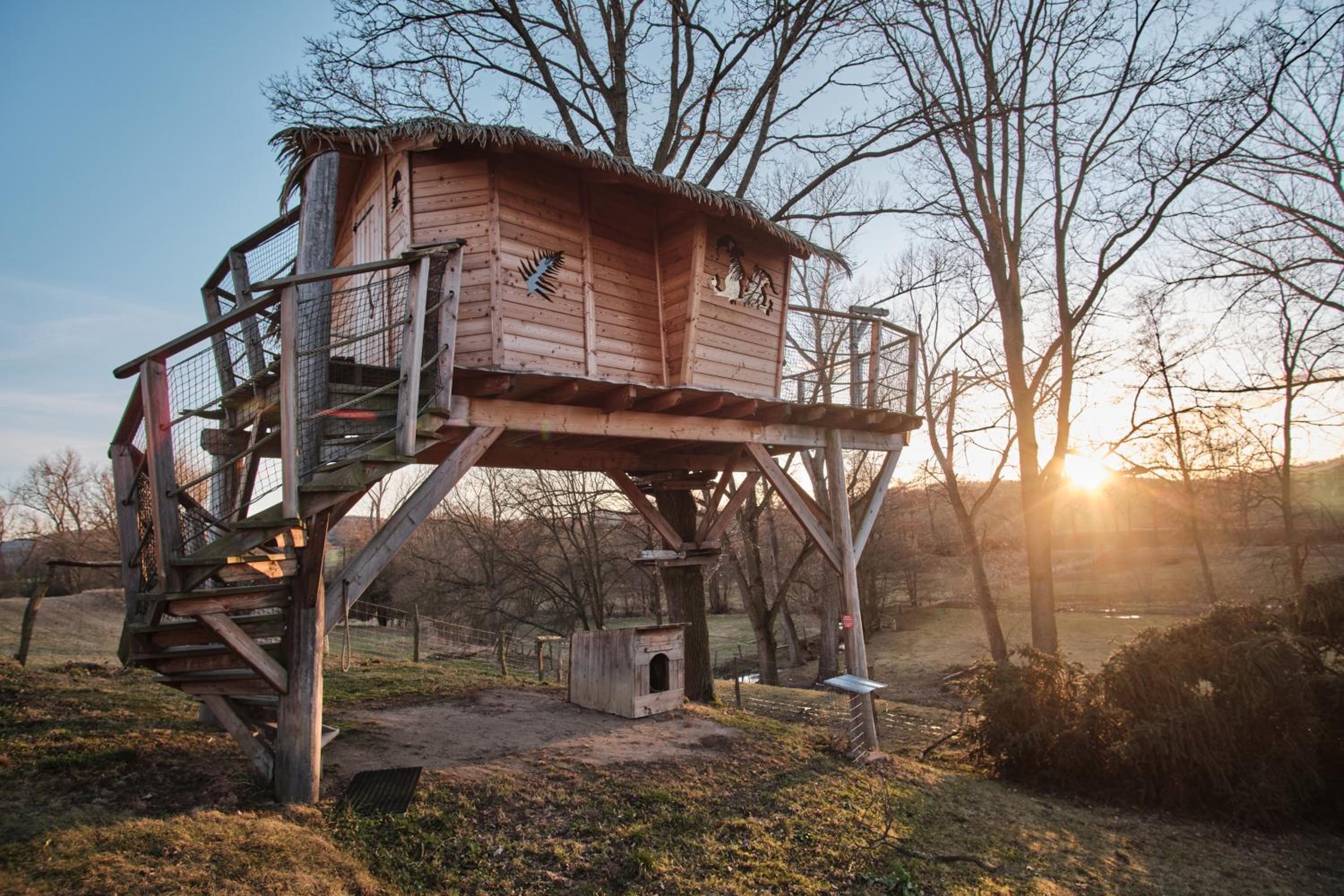 Treehouse photo 3