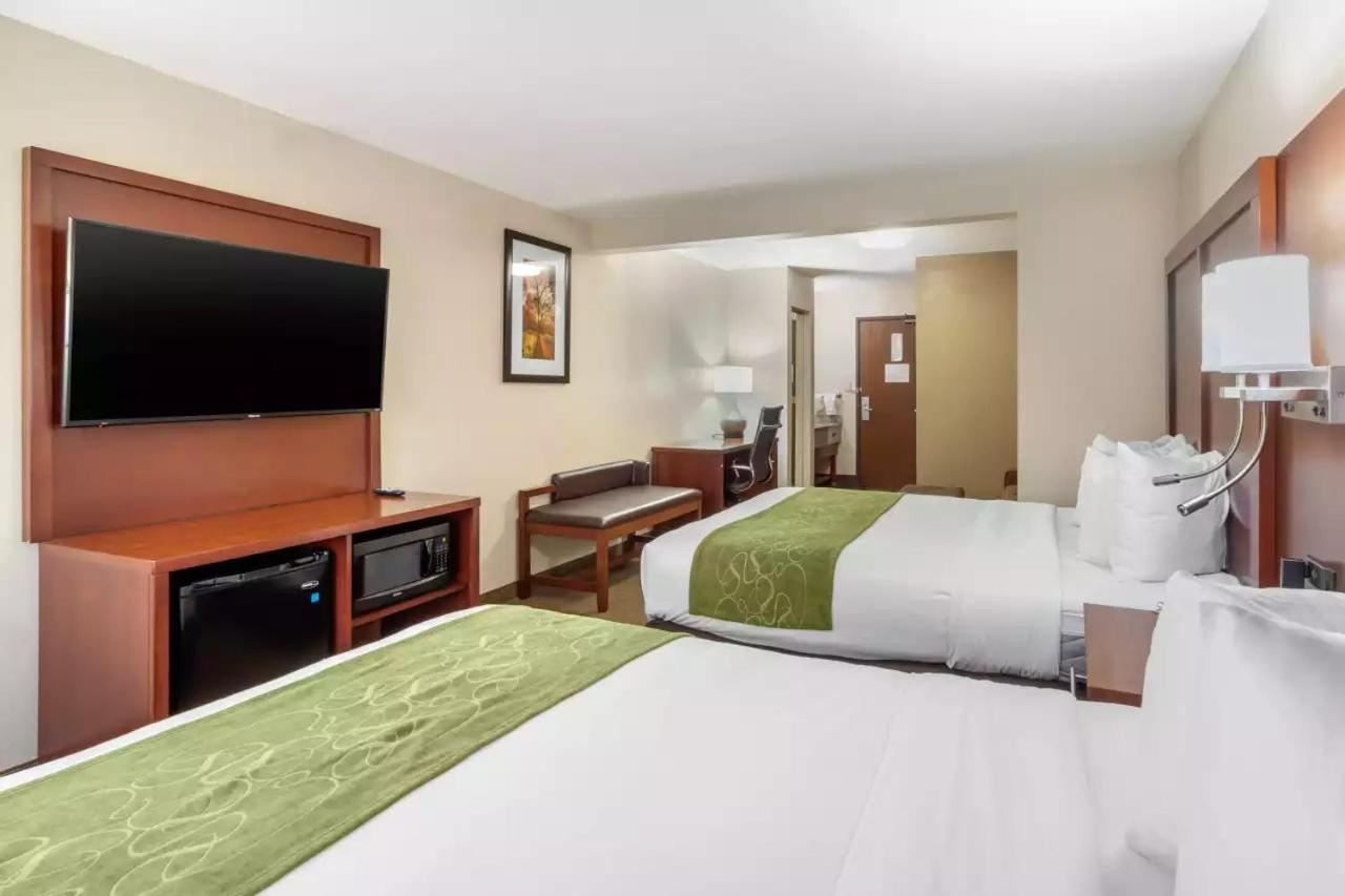 Queen Suite - Non Smoking/Pet Friendly - Photo 2