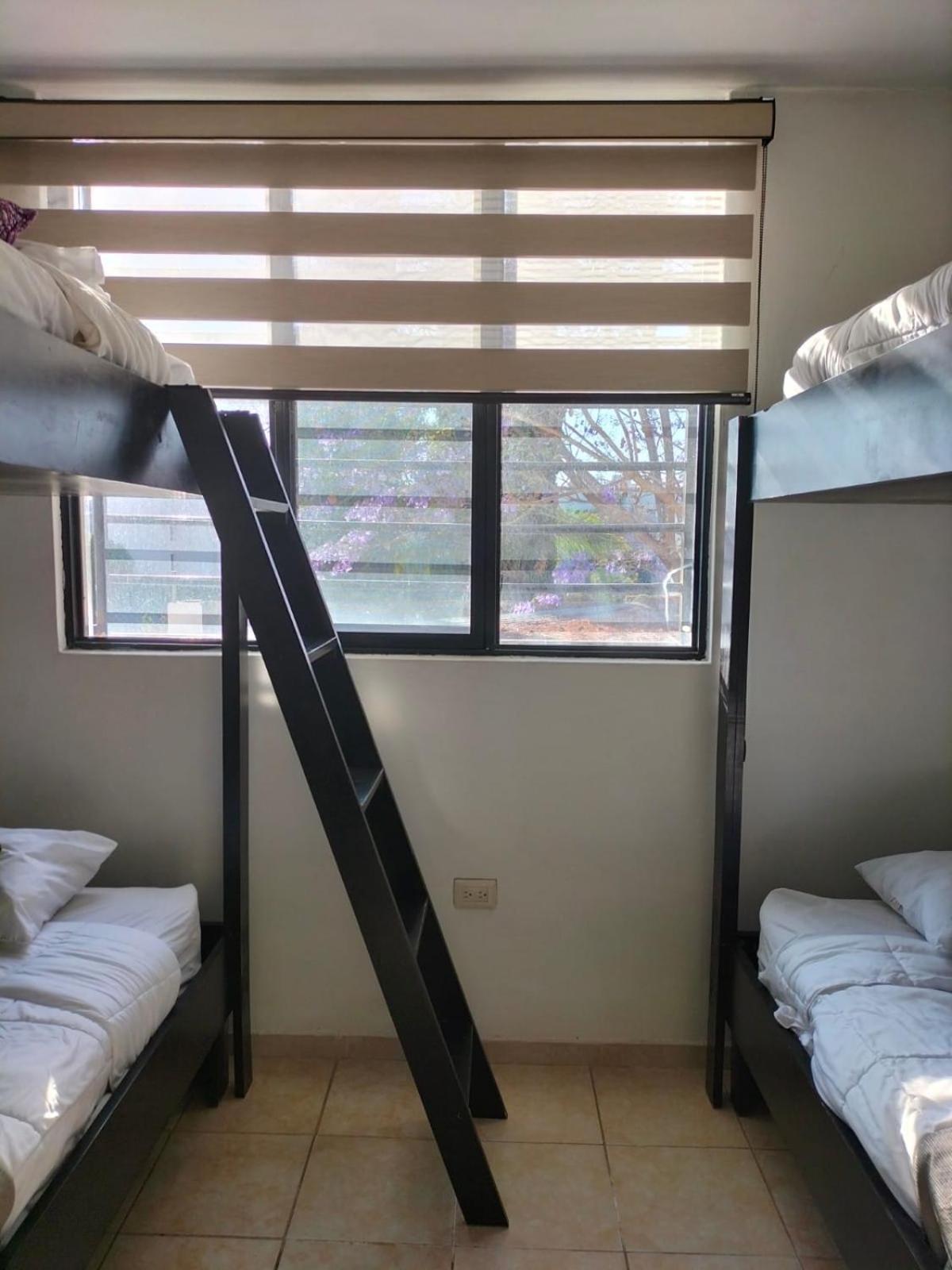 Bed in 4-Bed Mixed Dormitory Room photo 2
