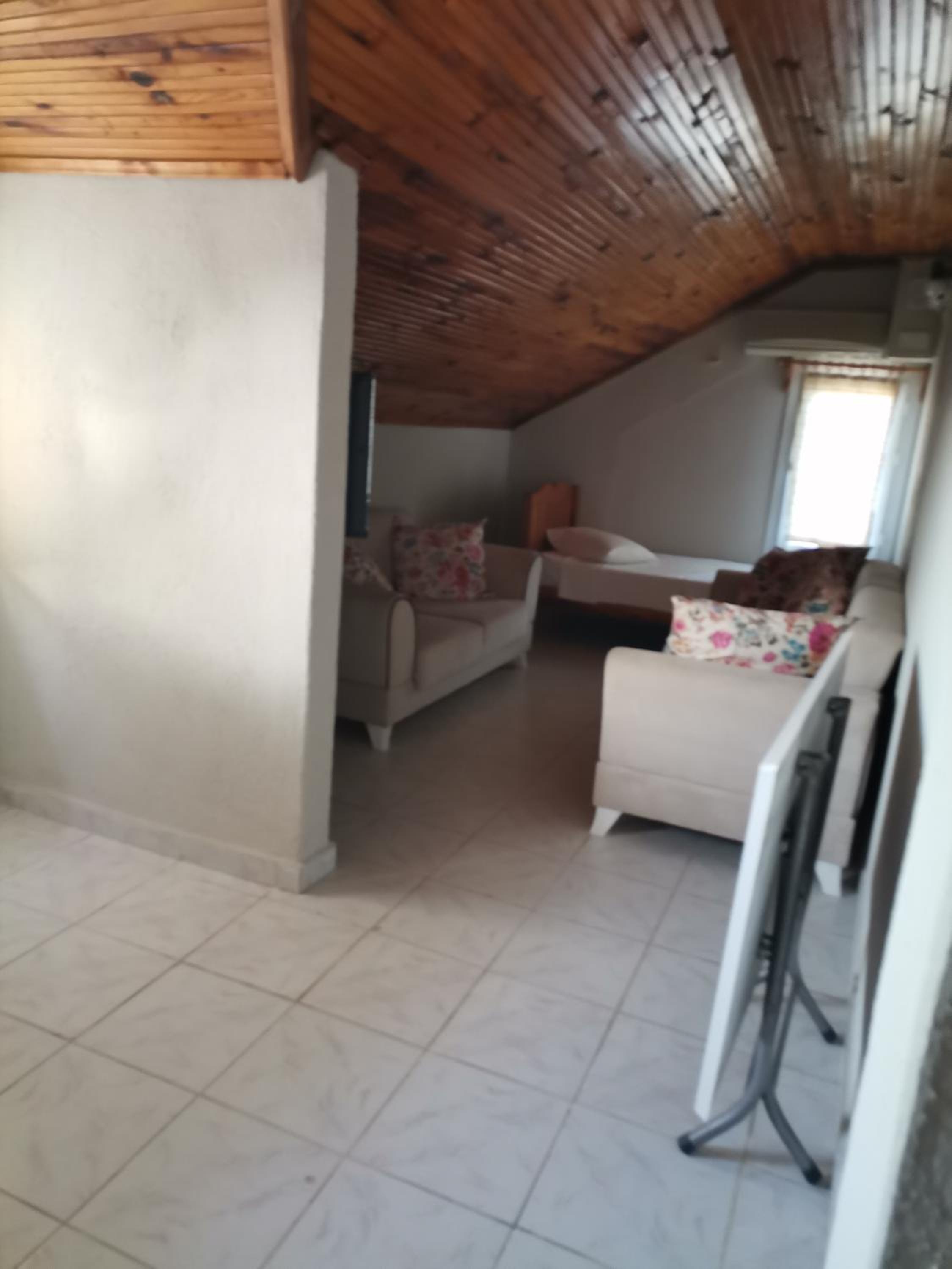 Standard Family Room photo 1