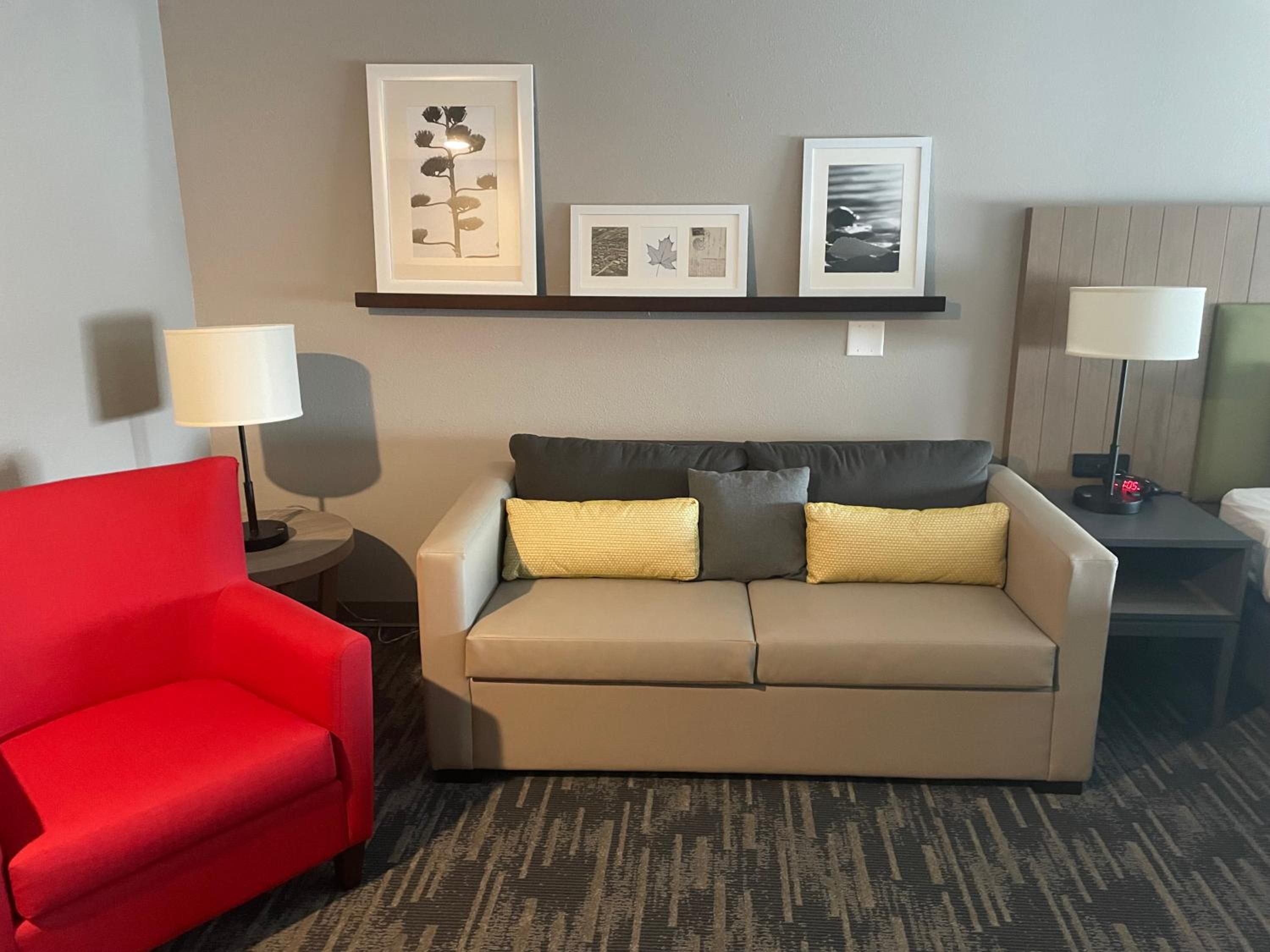 Premium One-Bedroom King Suite - Non-Smoking photo 1