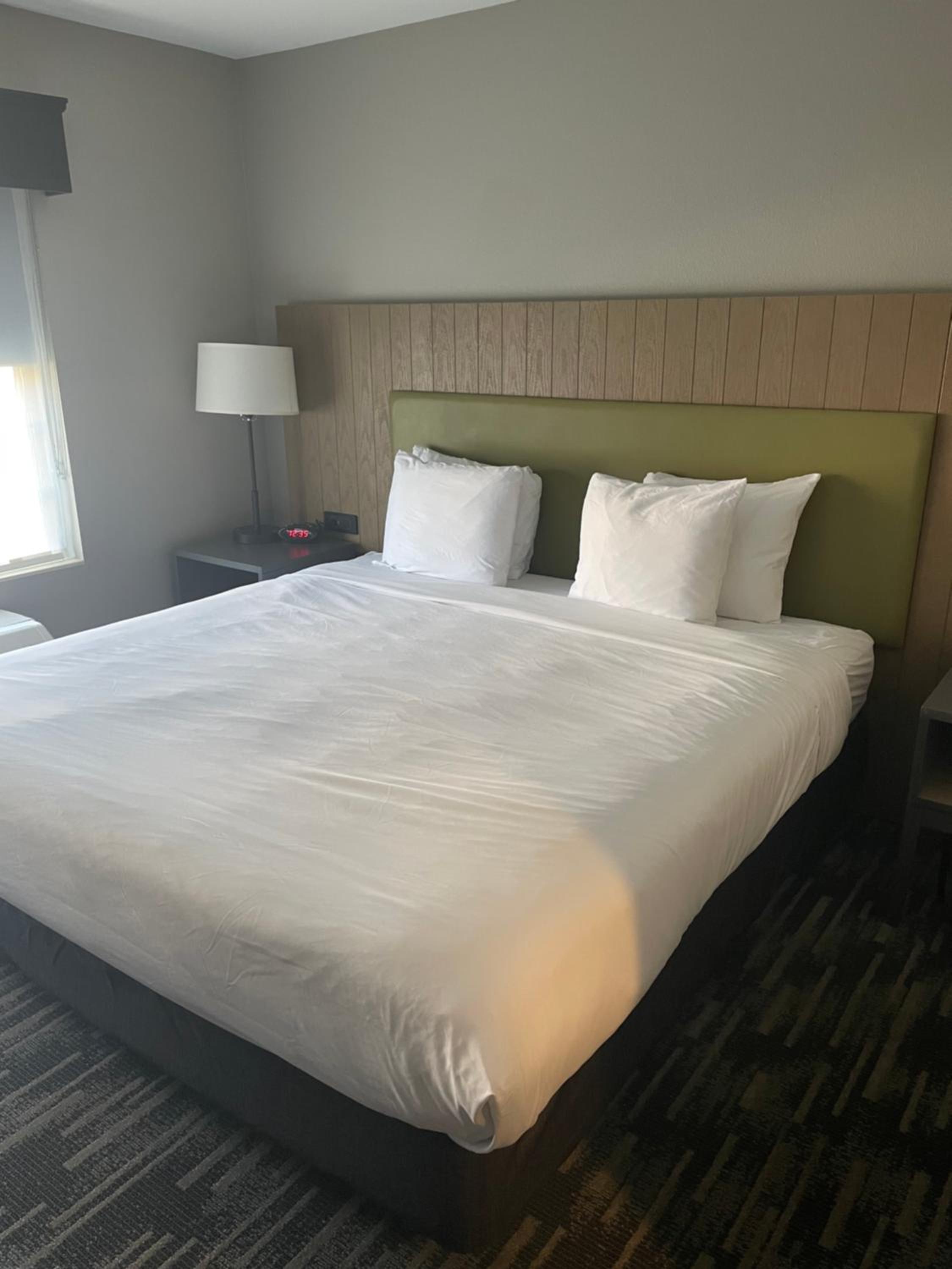 King Room with Roll-in Shower - Disability Access/Non-Smoking photo 2