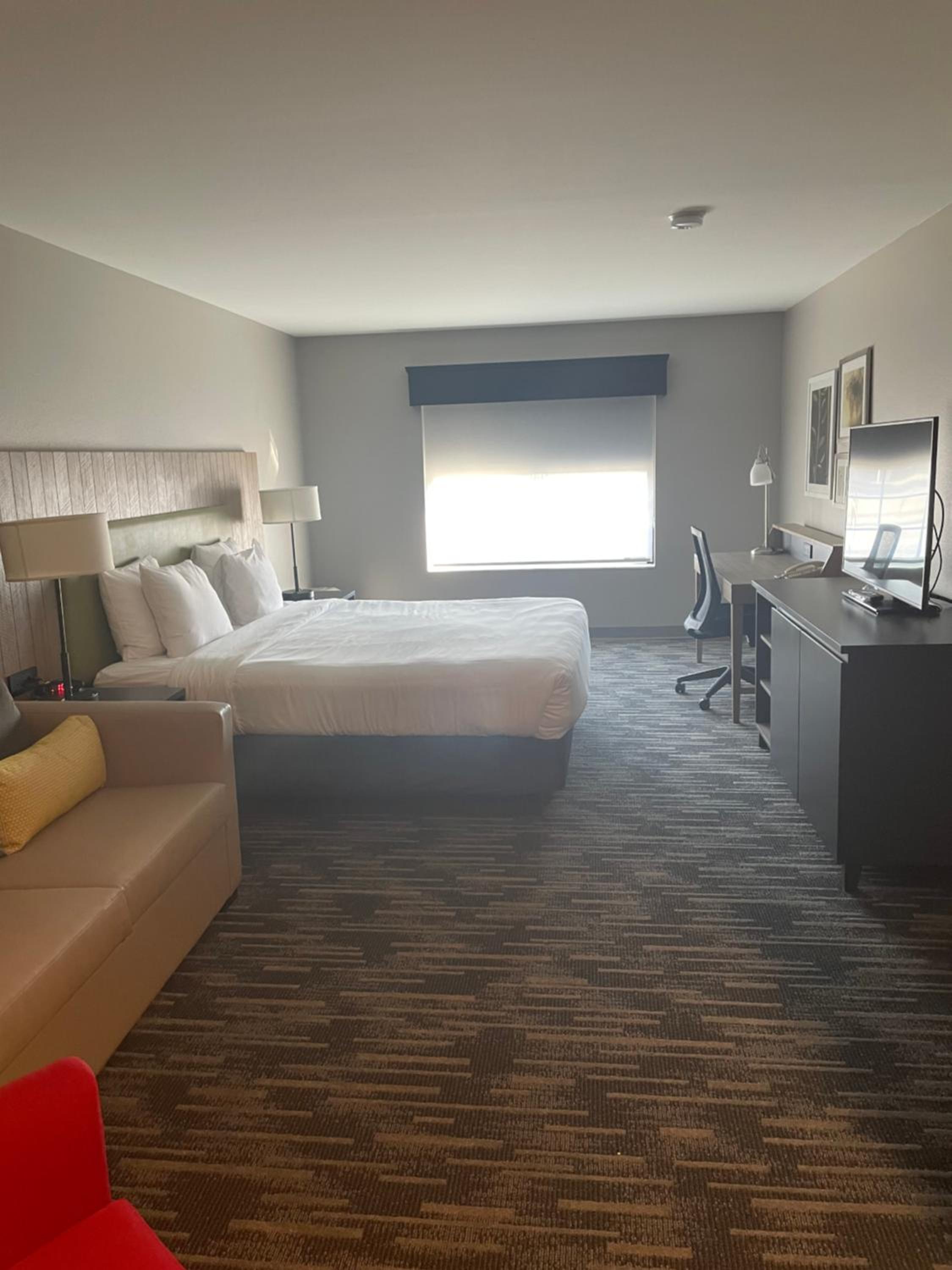 Premium One-Bedroom King Suite - Non-Smoking photo 3