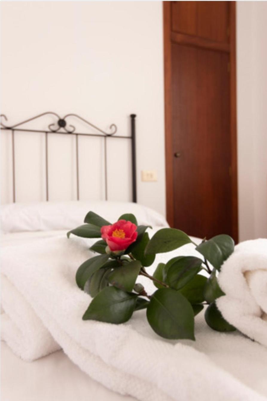 Habitación individual con baño privado