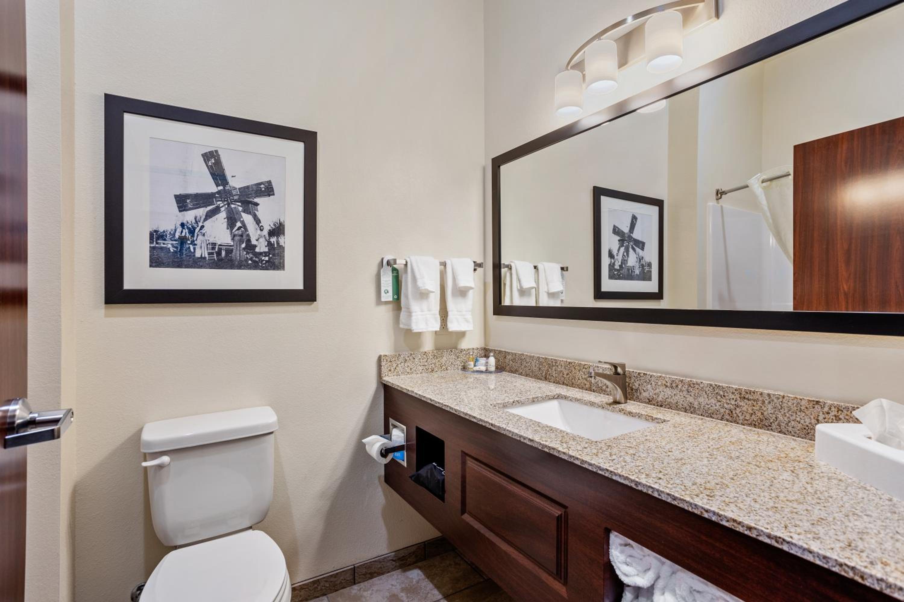 King Suite - Photo 10