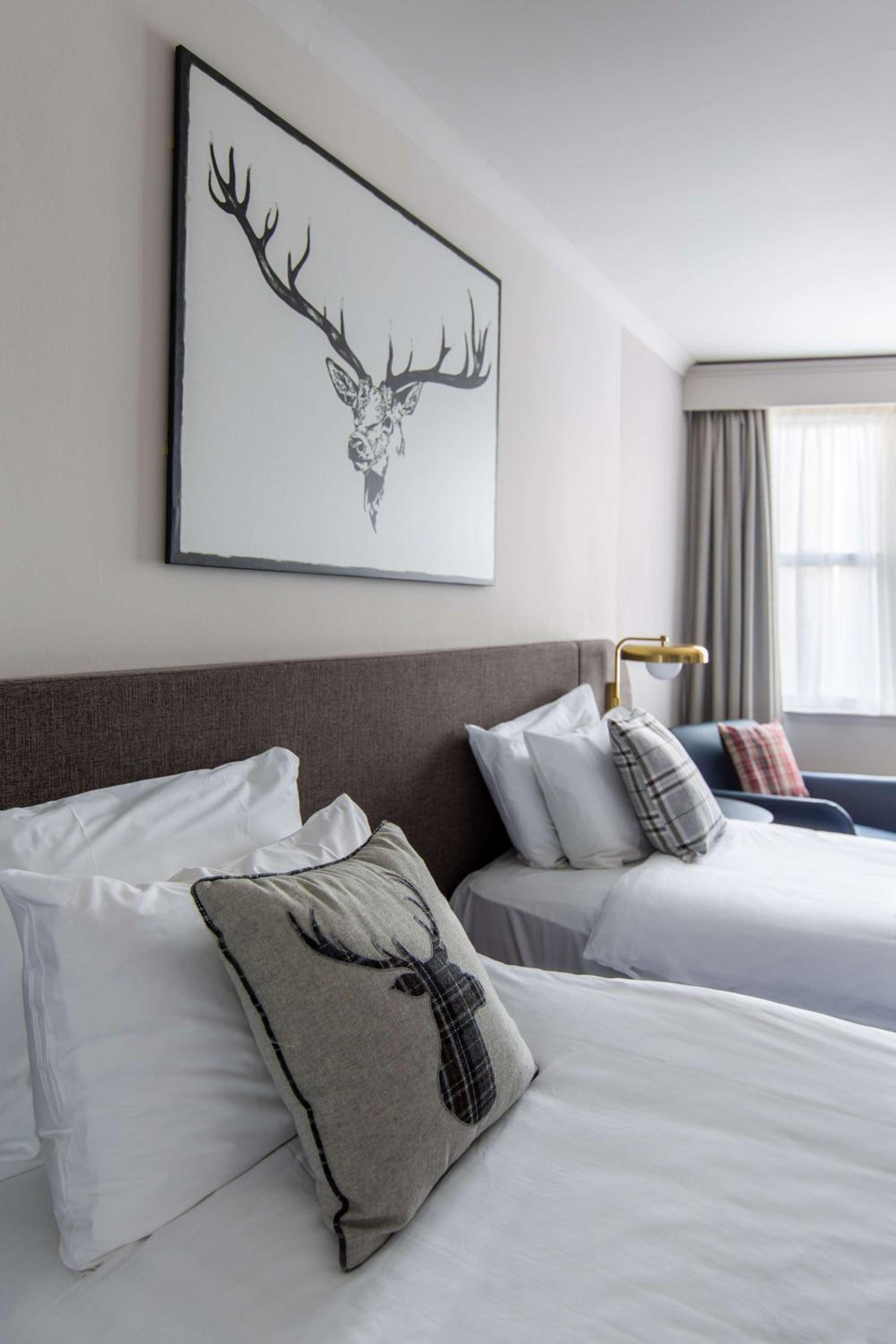 Executive Twin Room
