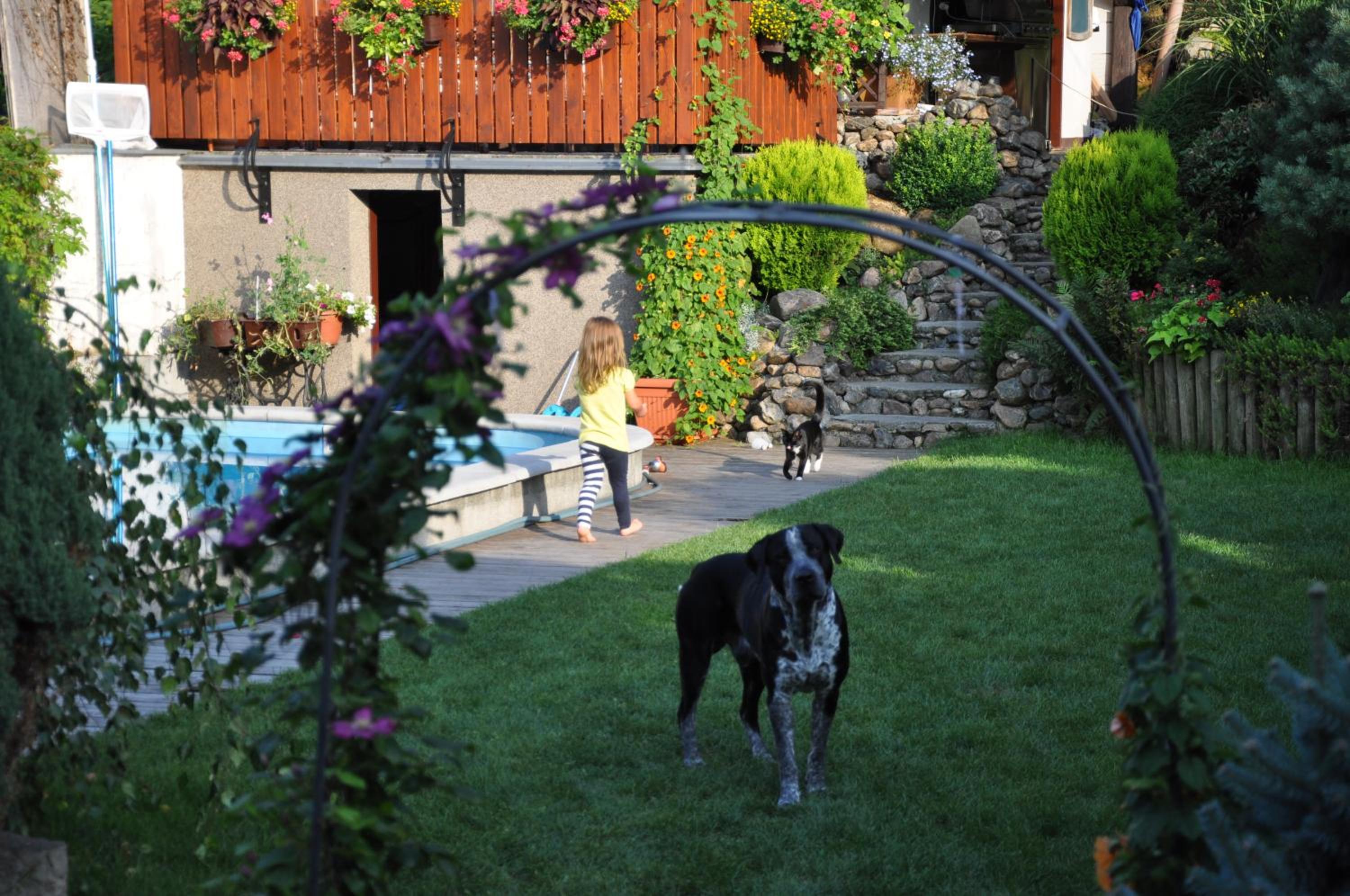 Apartment - Photo 20