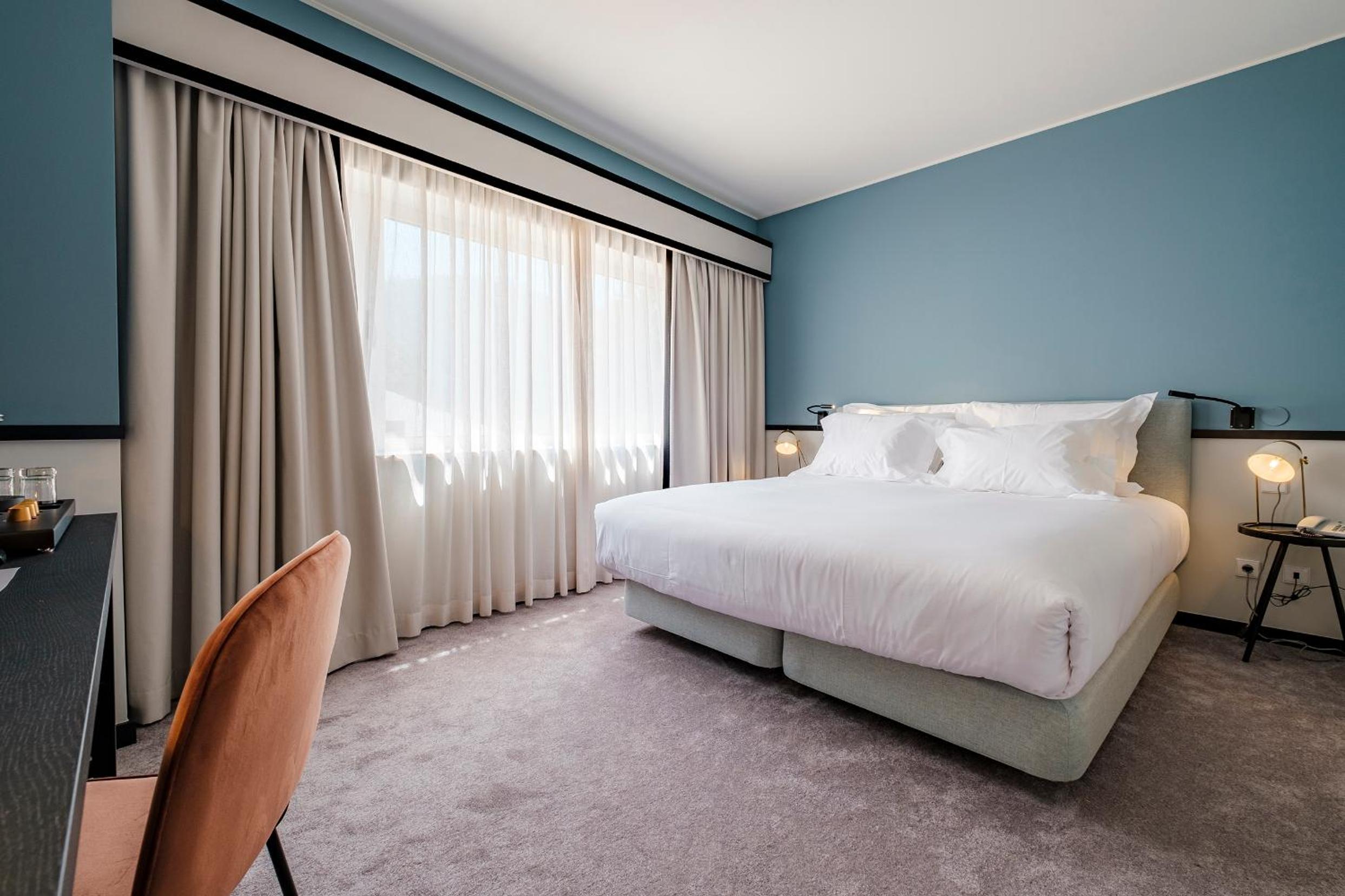 Suite - Photo 1