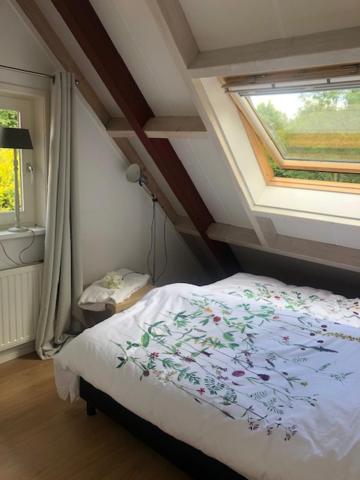 Deluxe Double Room with Shower photo 2