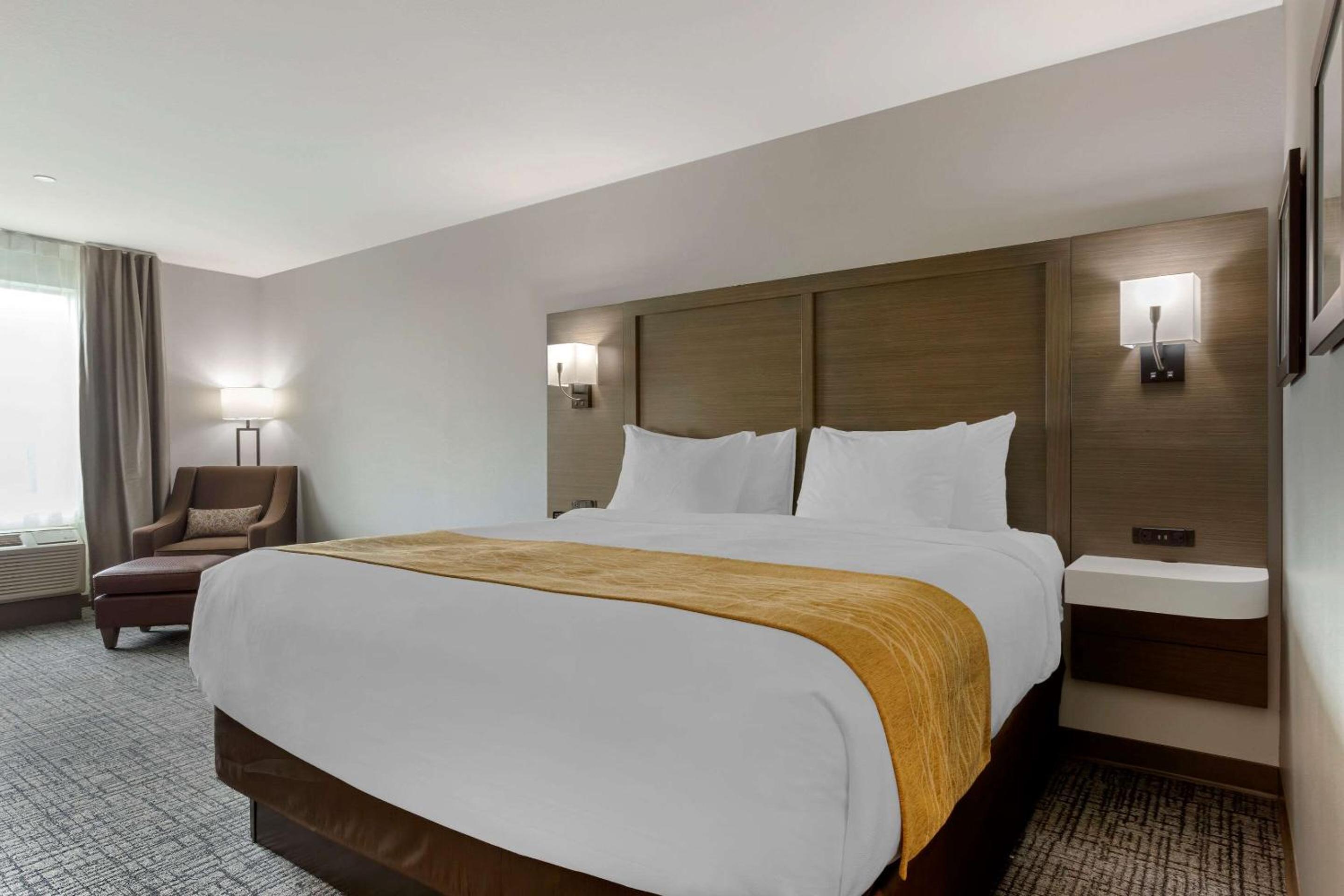 King Room with Roll-In Shower - Accessible/Non Smoking - Photo 1